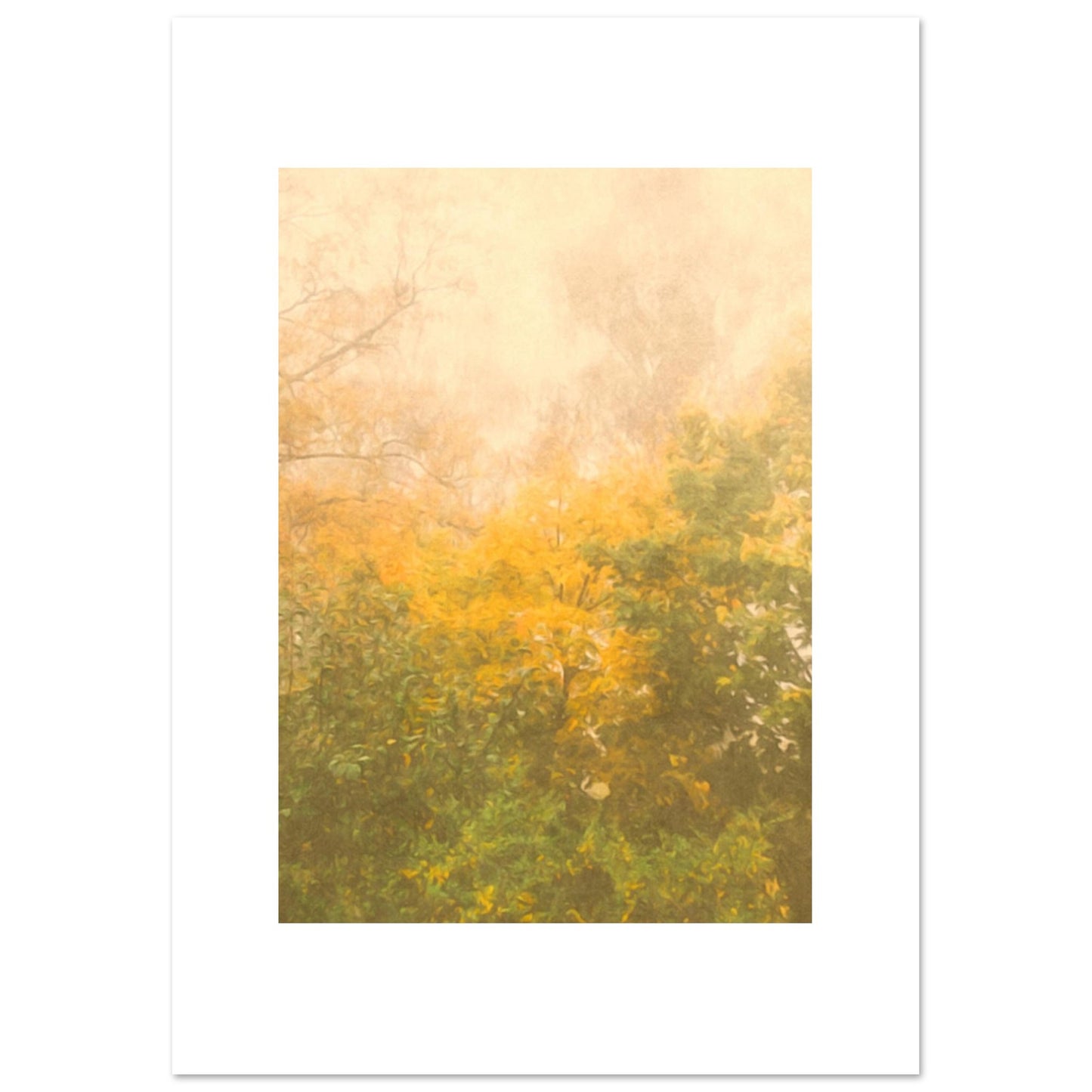 081683d1-e3bb-4cdb-b67f-816e7e654c5a