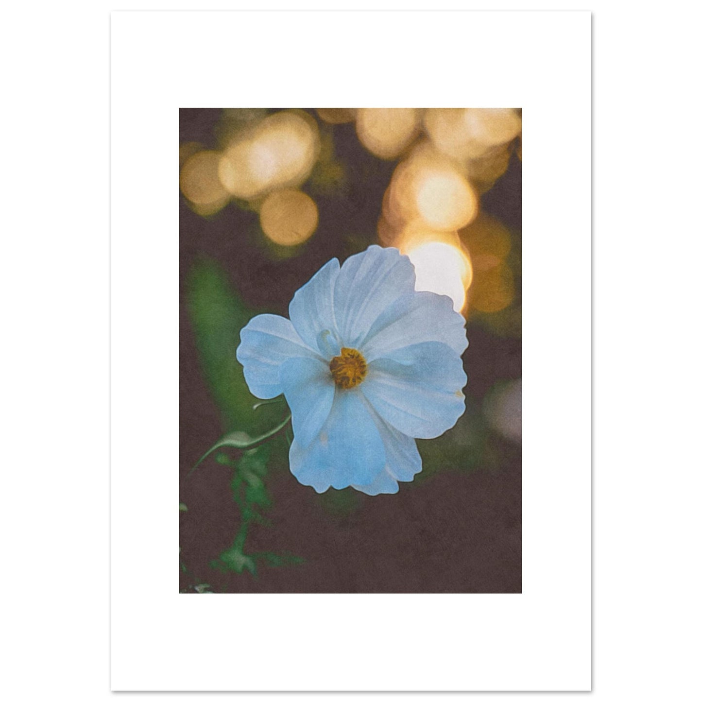 13ca086f-24d6-48a6-a98f-0c385015ca7b