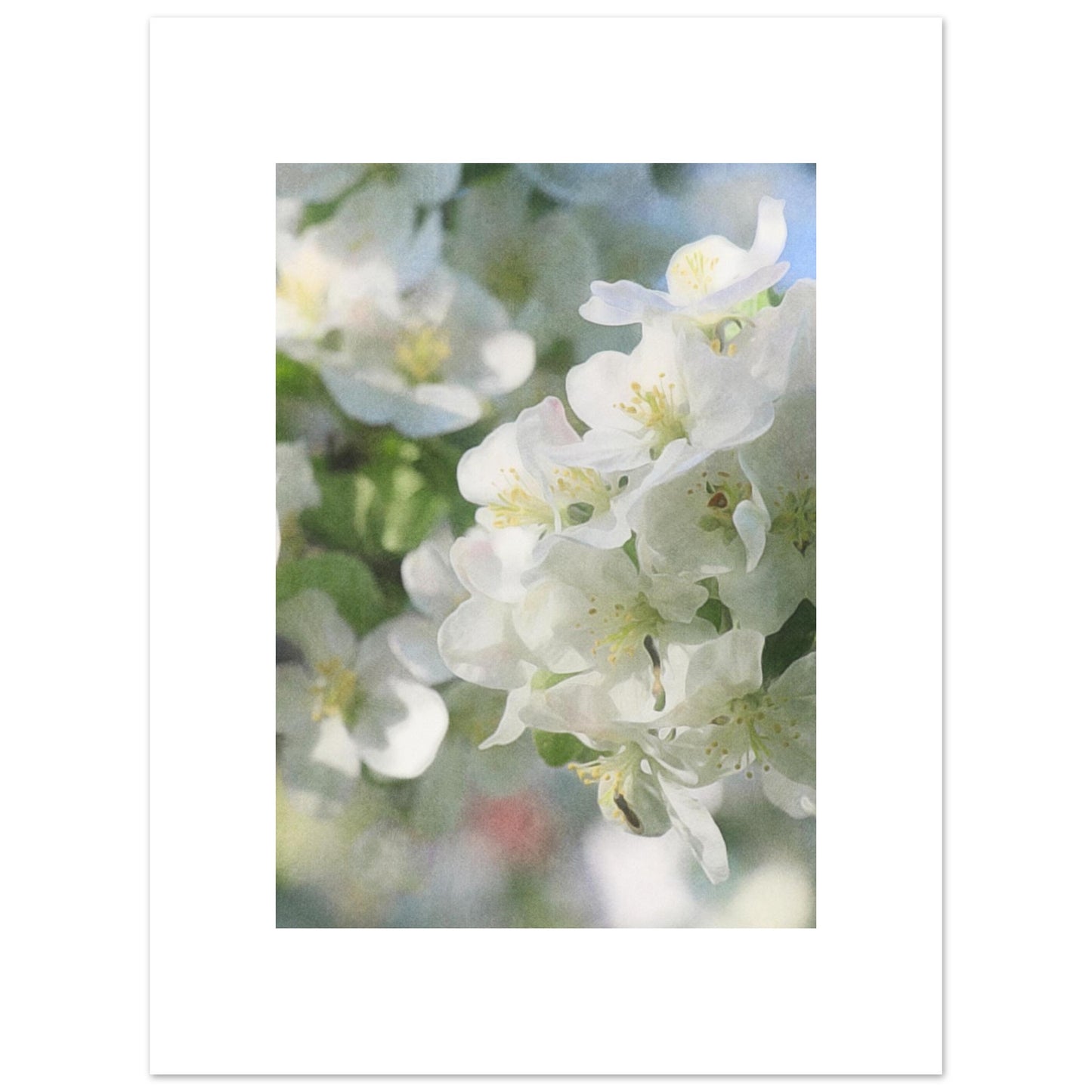 13fe830a-2f91-4d9a-8c71-7d0eed24d44b