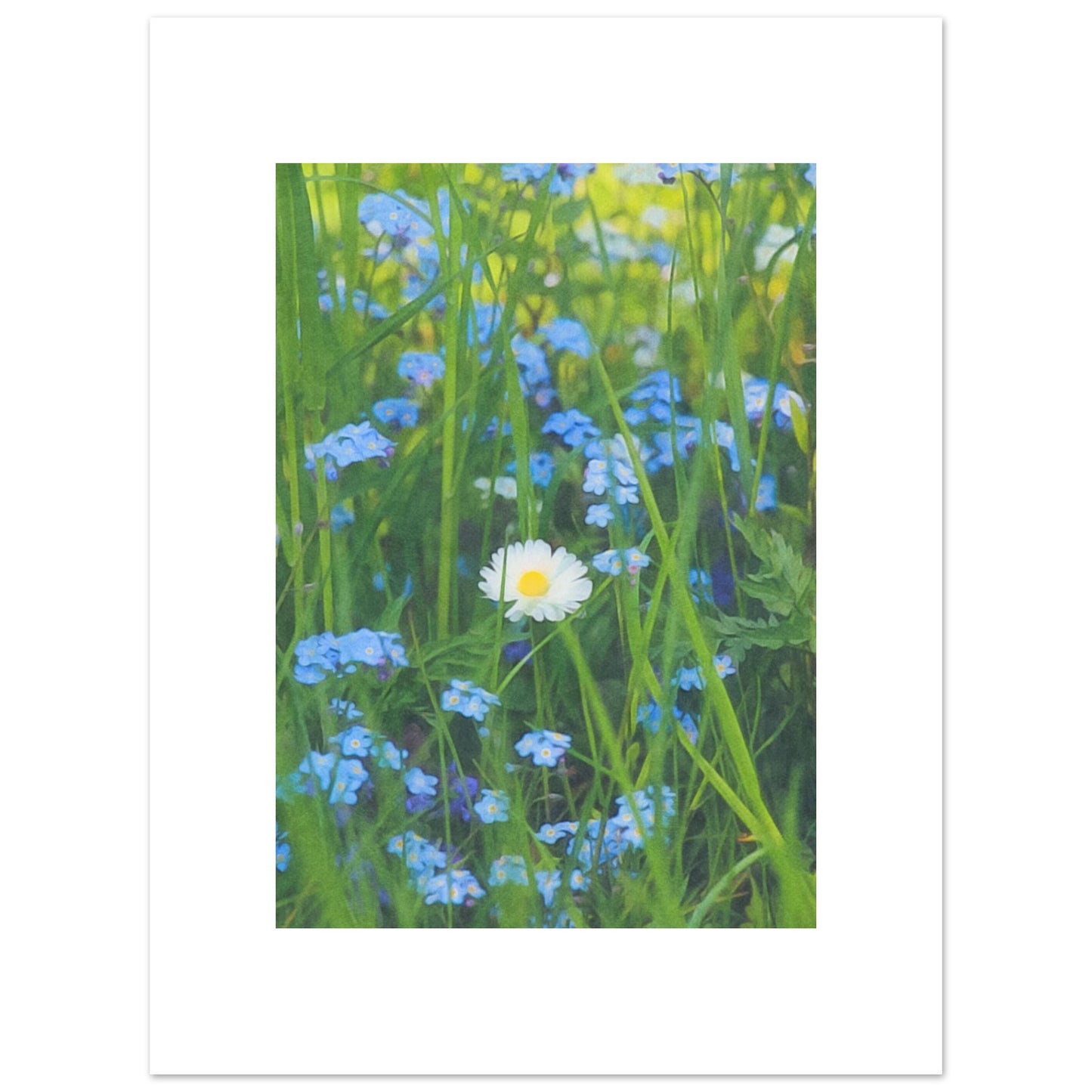 19cf4c84-08ed-48f3-b0ea-7082bbbcf5a3