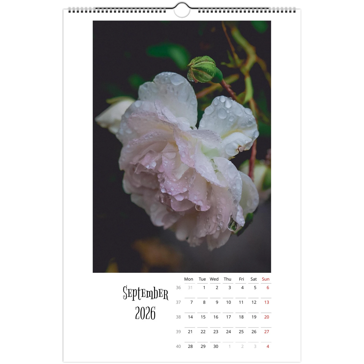 3c044f72-1615-4cf5-abe2-1c3e3a4bbc02