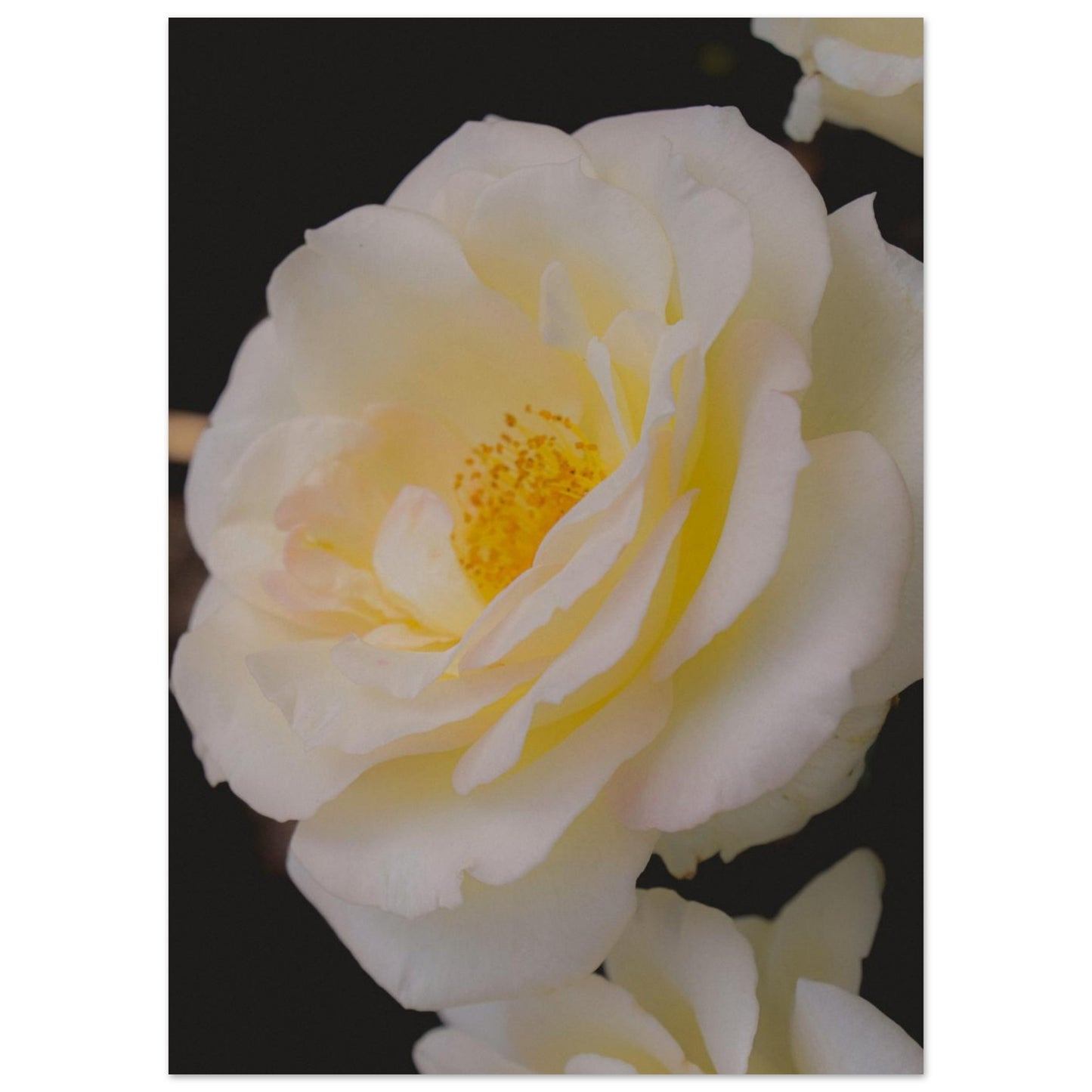 3dd6f055-4400-49ab-a0d7-eded4a8dea80