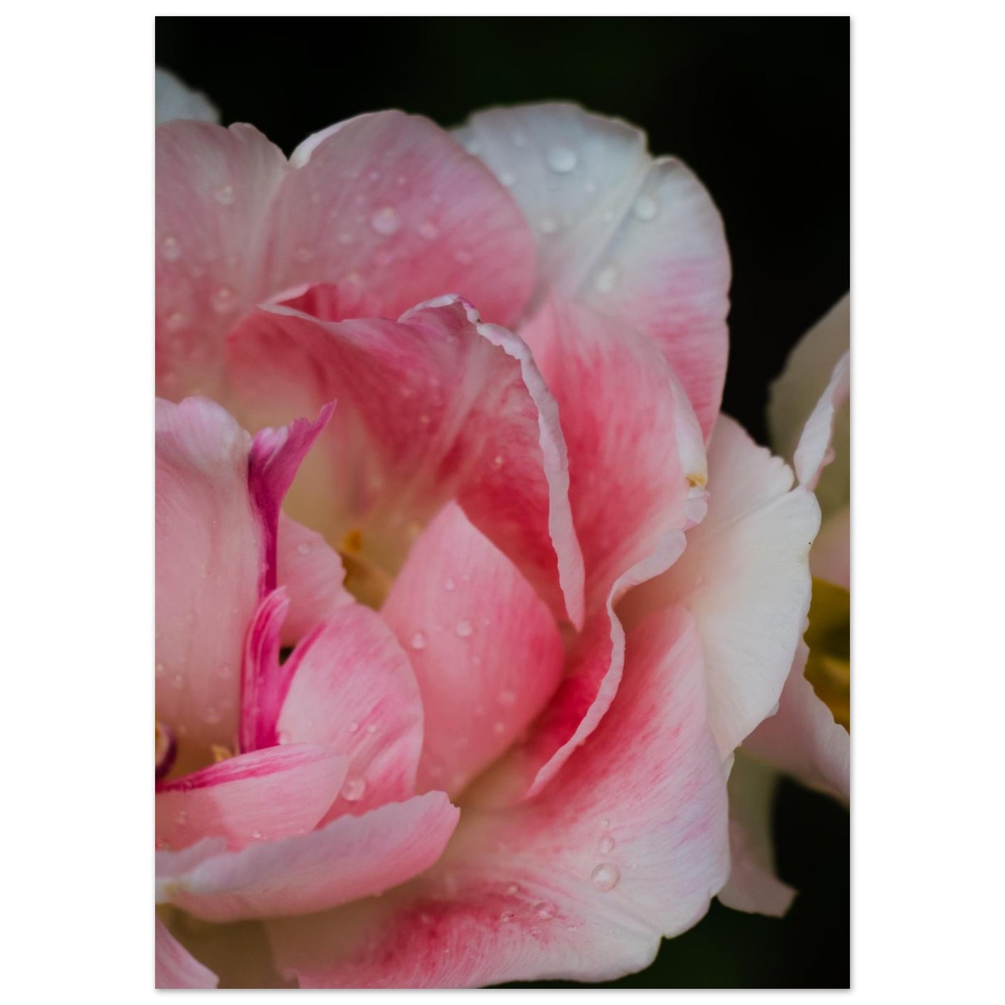 43b94948-6121-425d-b097-a512dbb8a620