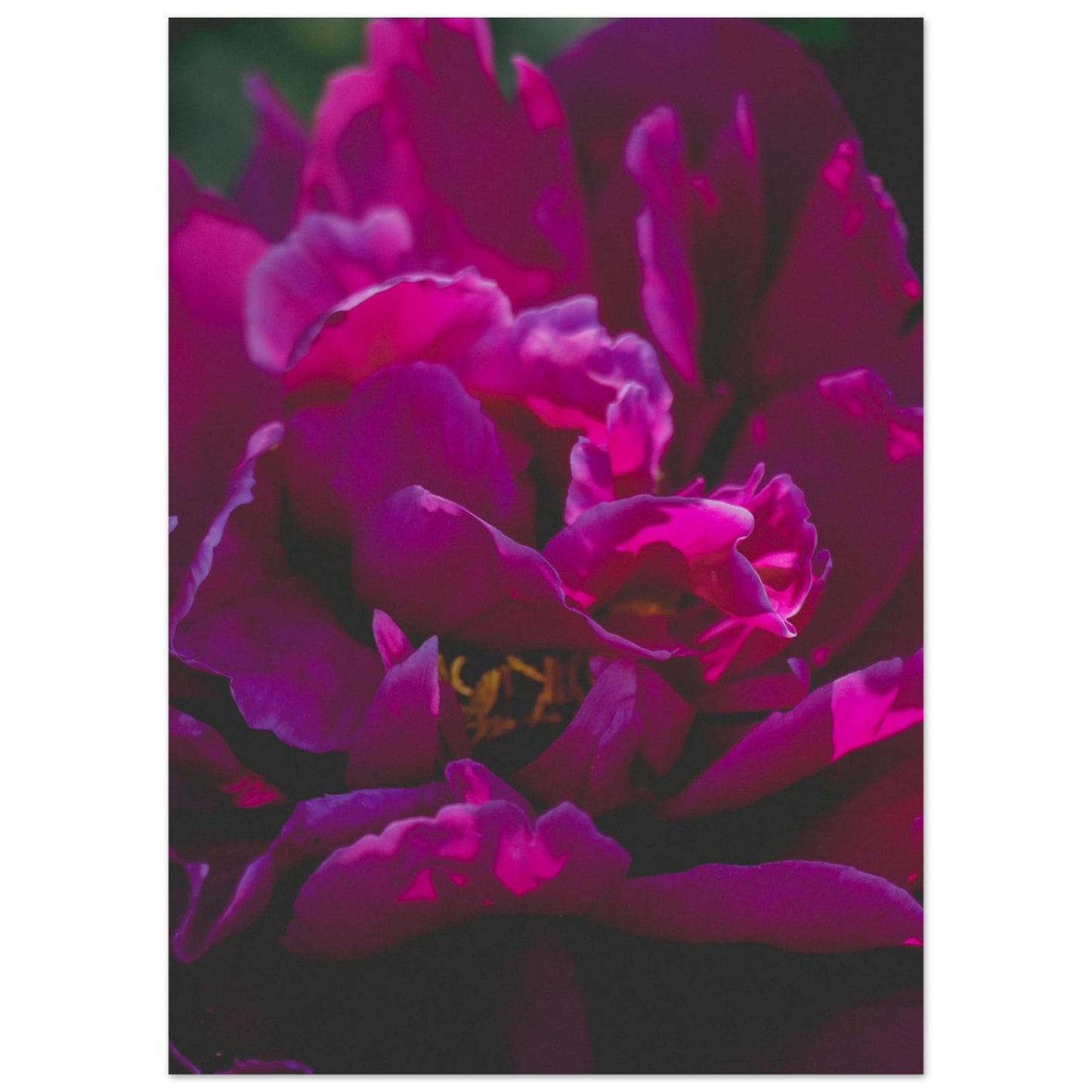 4a1cf93a-1f3b-4ed0-be32-e5ae26732dd6