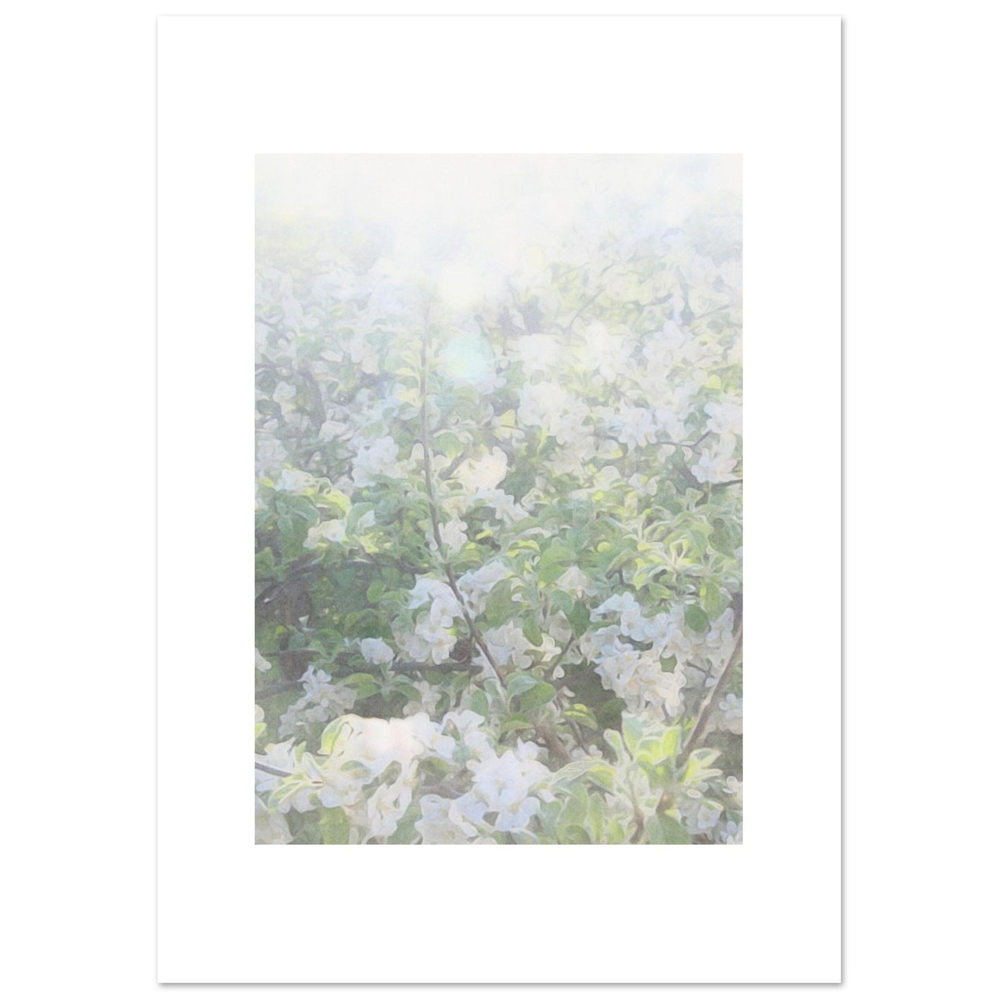 5cb918b0-8370-4d9b-8ef8-e0328c5cb228