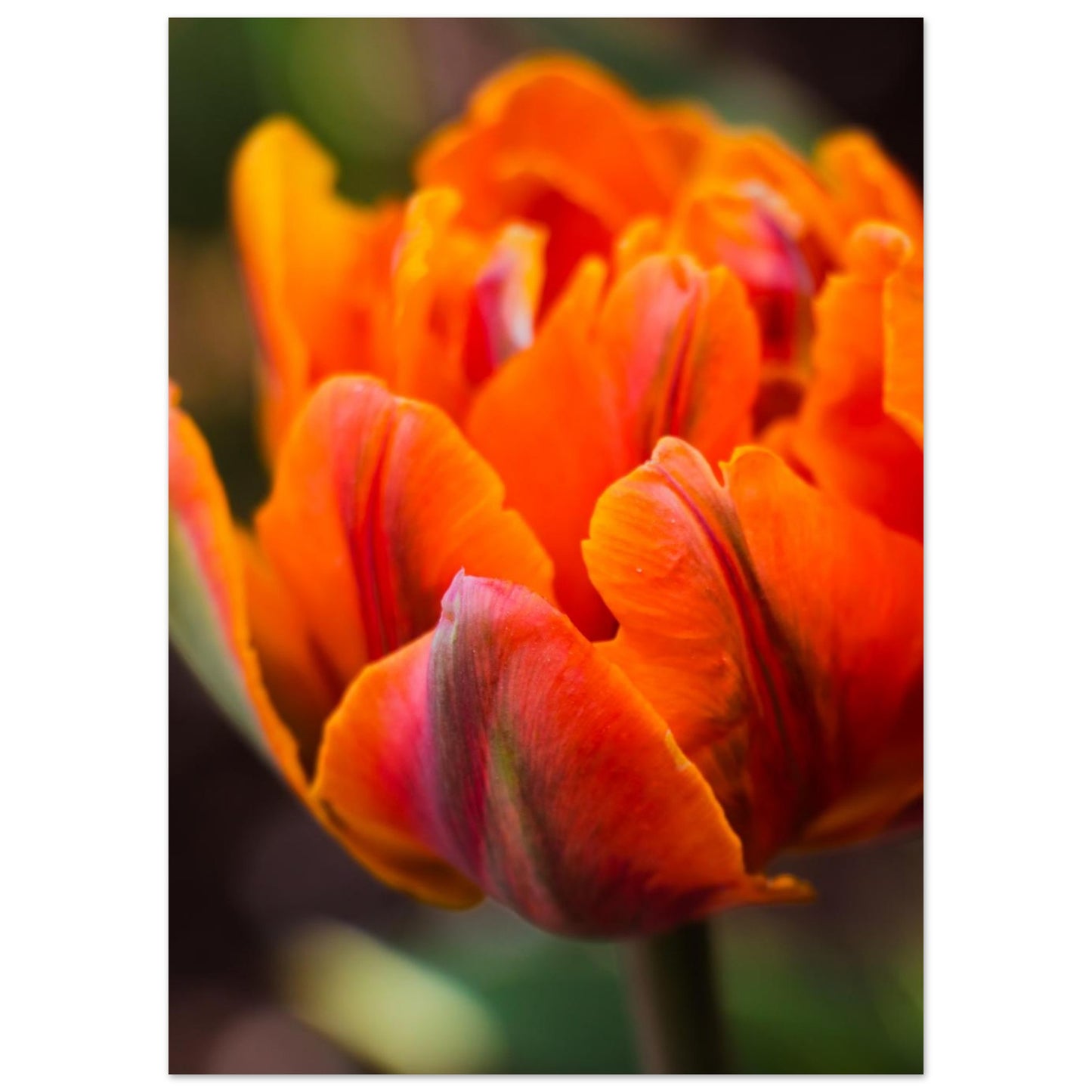 6ec47e0f-7ef4-46f9-bc77-31b820ffc156