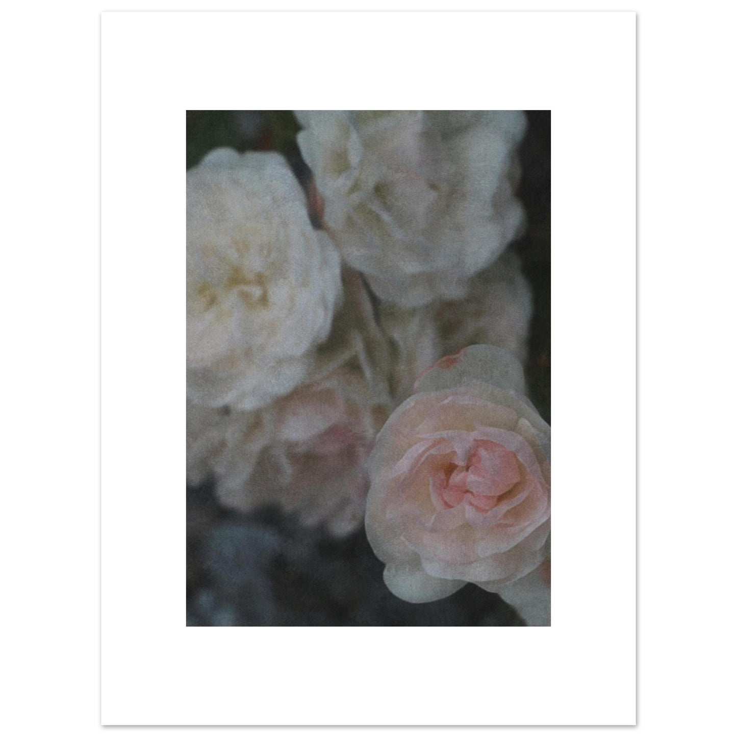 75e45179-aa1c-4af2-9fdb-f257fa1f0071