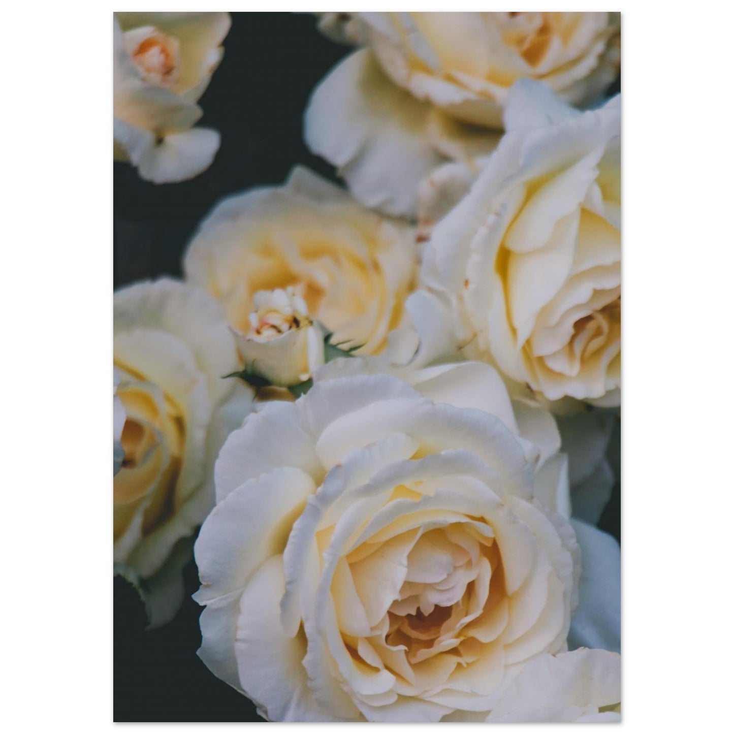 77f9dfe4-805a-4d3c-98bd-79c7d48ad098