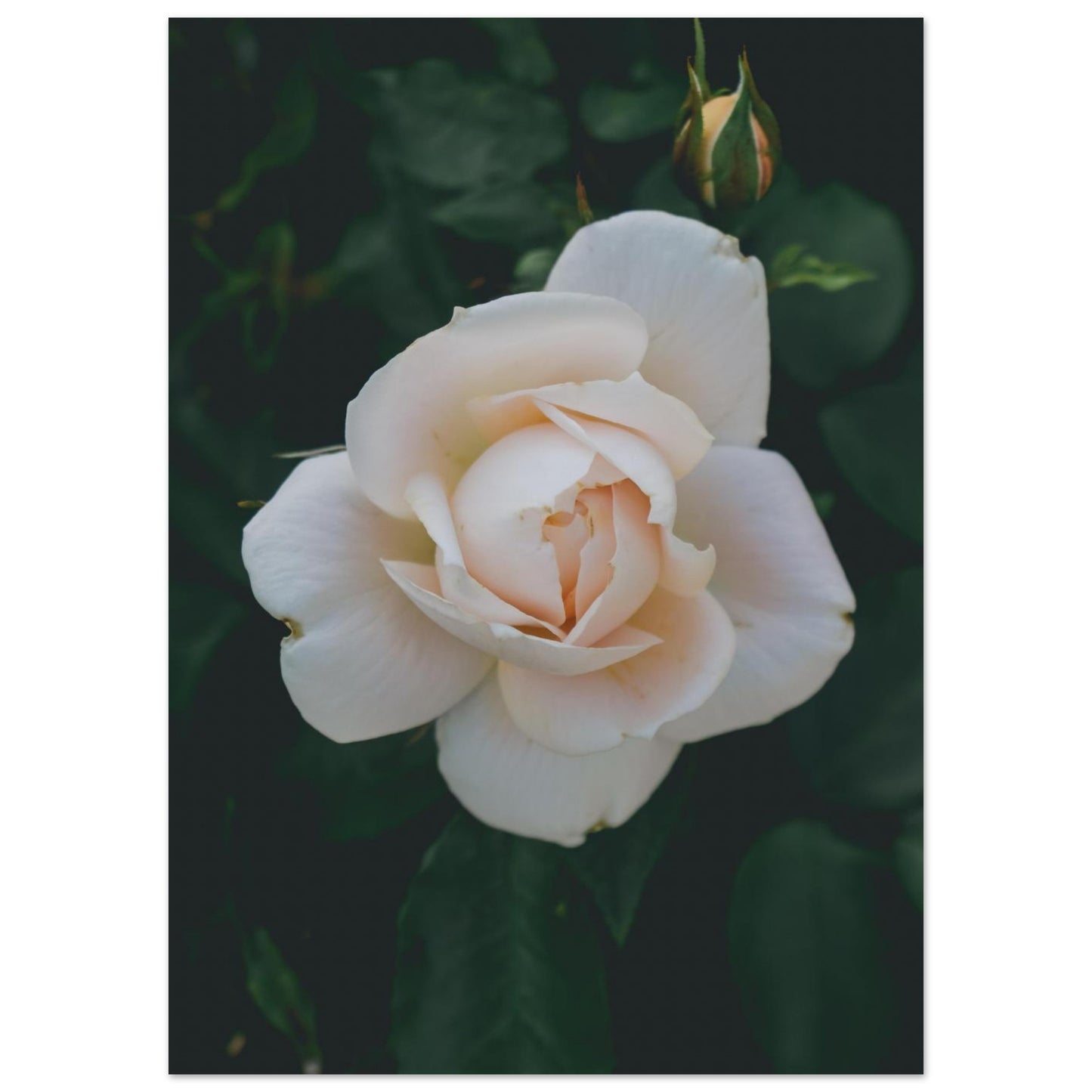 84b284e3-e636-4b23-923d-2742b6aa2e46