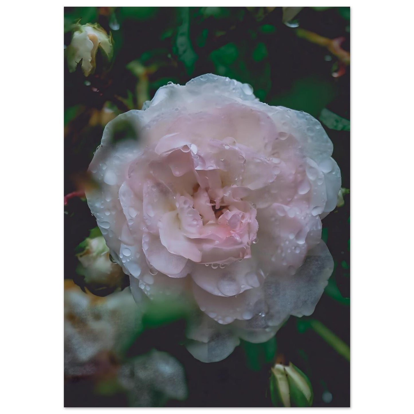 856cafd8-6828-4bf6-9e4c-47bc8b19b4ab