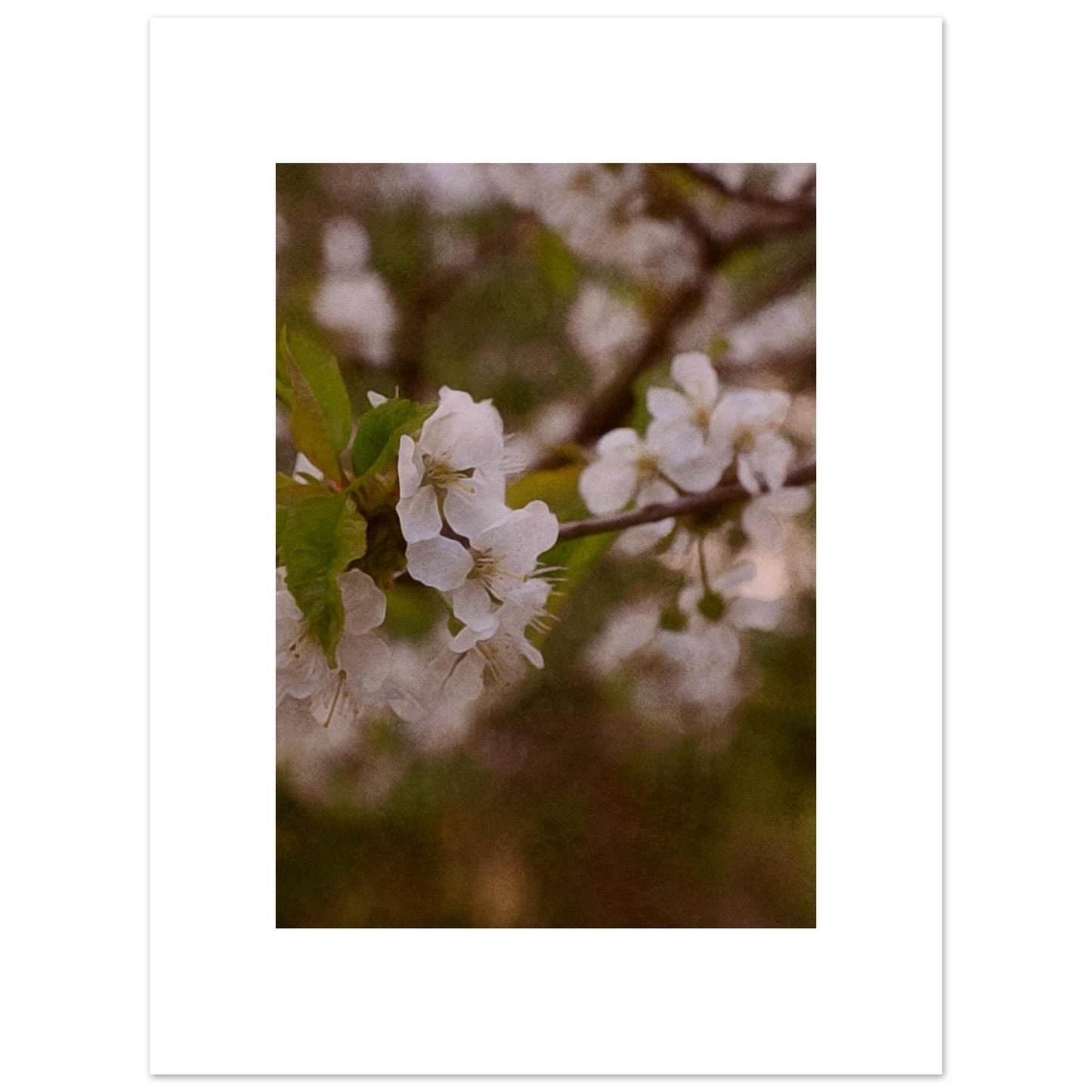 b1b57c93-961d-44d5-bf75-ae7a5a3faf37