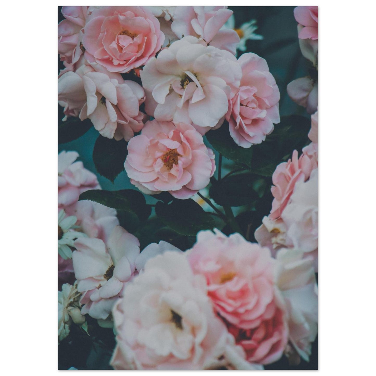 b2836b46-3a1d-4bdd-99a5-51ecb9ac6d44