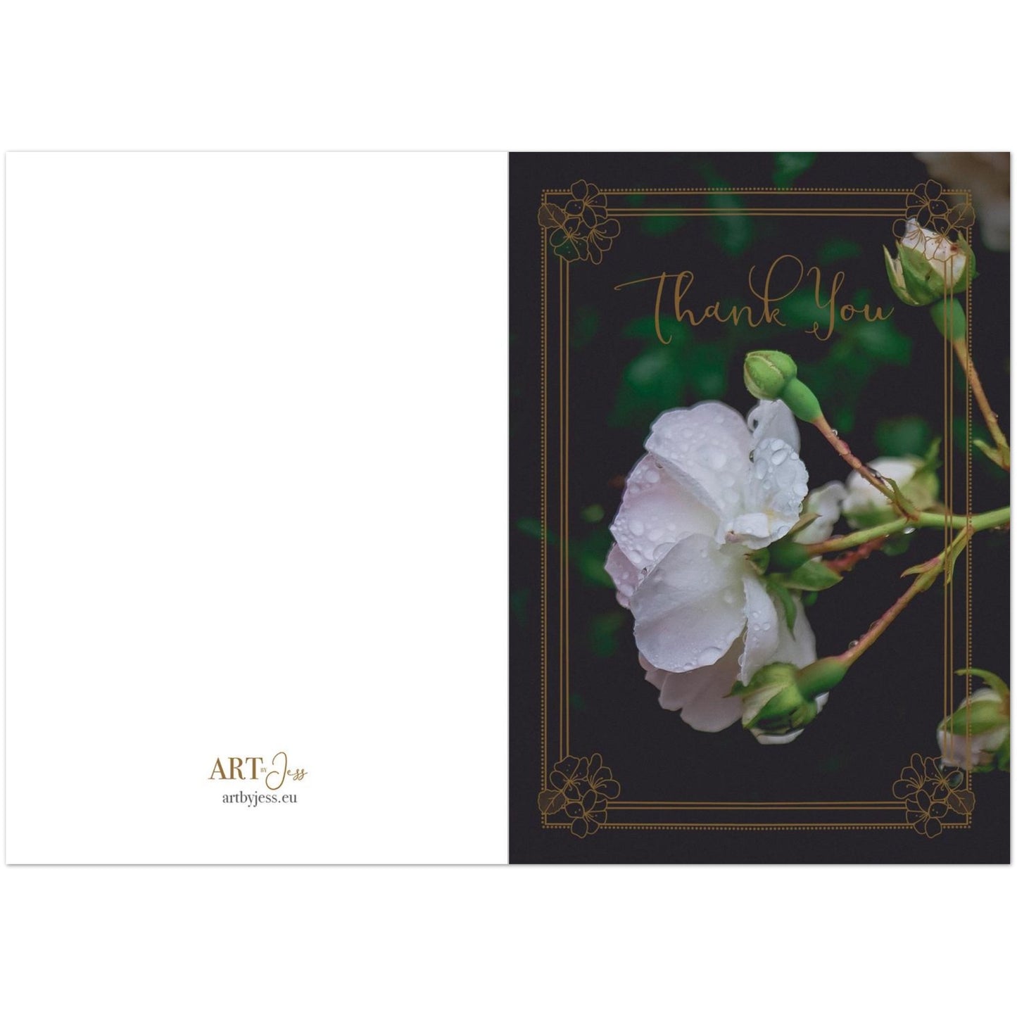 ce38d7b1-a868-4795-a87d-c74a8bc4dca7