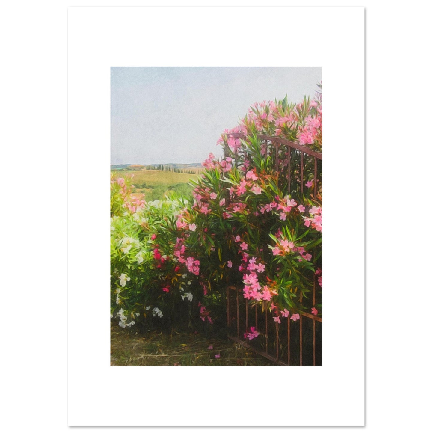 cf45f03d-15c7-425f-b00e-7231d79caca9