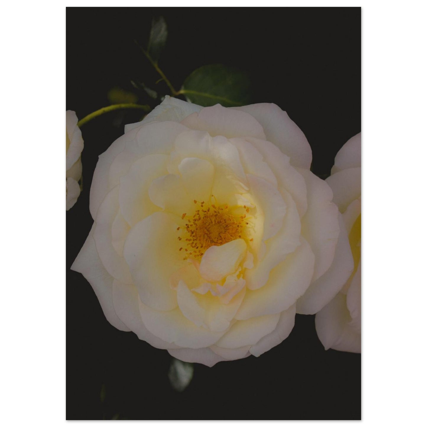 e38a0439-39cb-4754-befb-eaf06560d901