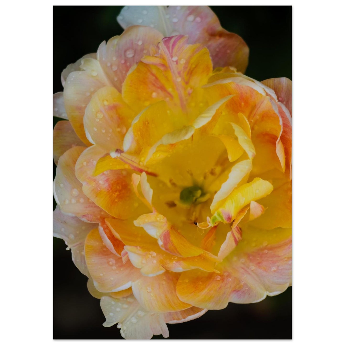 f578bd94-b6f3-4a3f-828b-41be9bd8c5c1