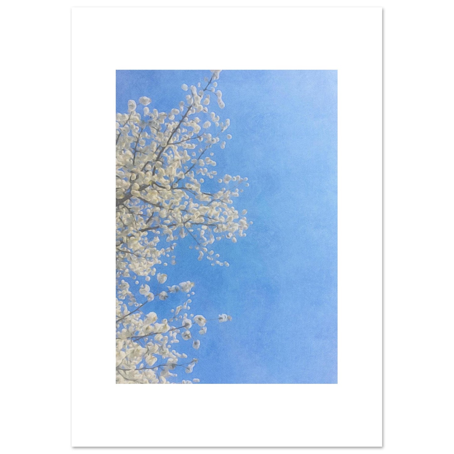 fe205448-45aa-4fdf-a7ca-68e047b869d1