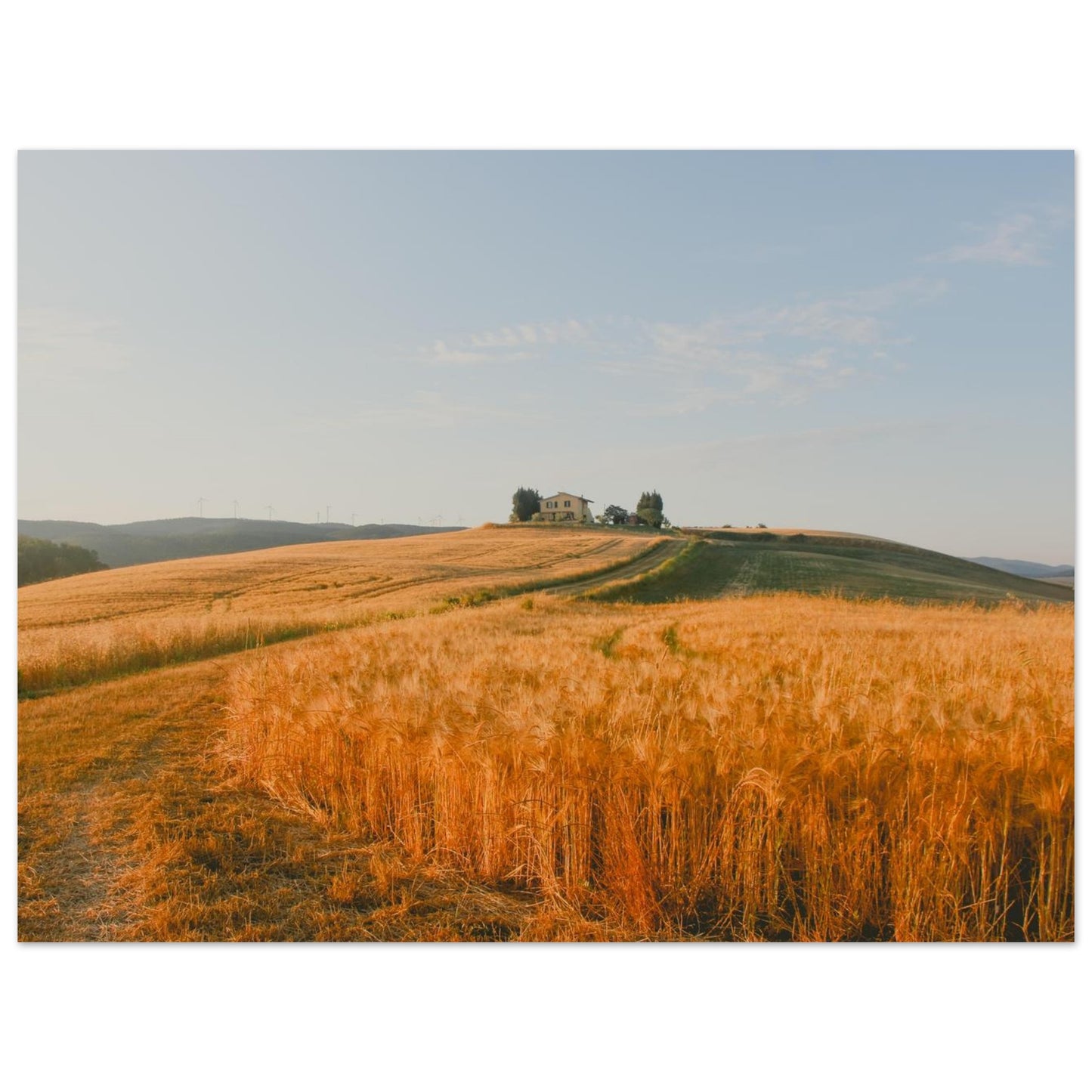 03f2c7b2-1eb9-4557-ad22-89ceade2fbde