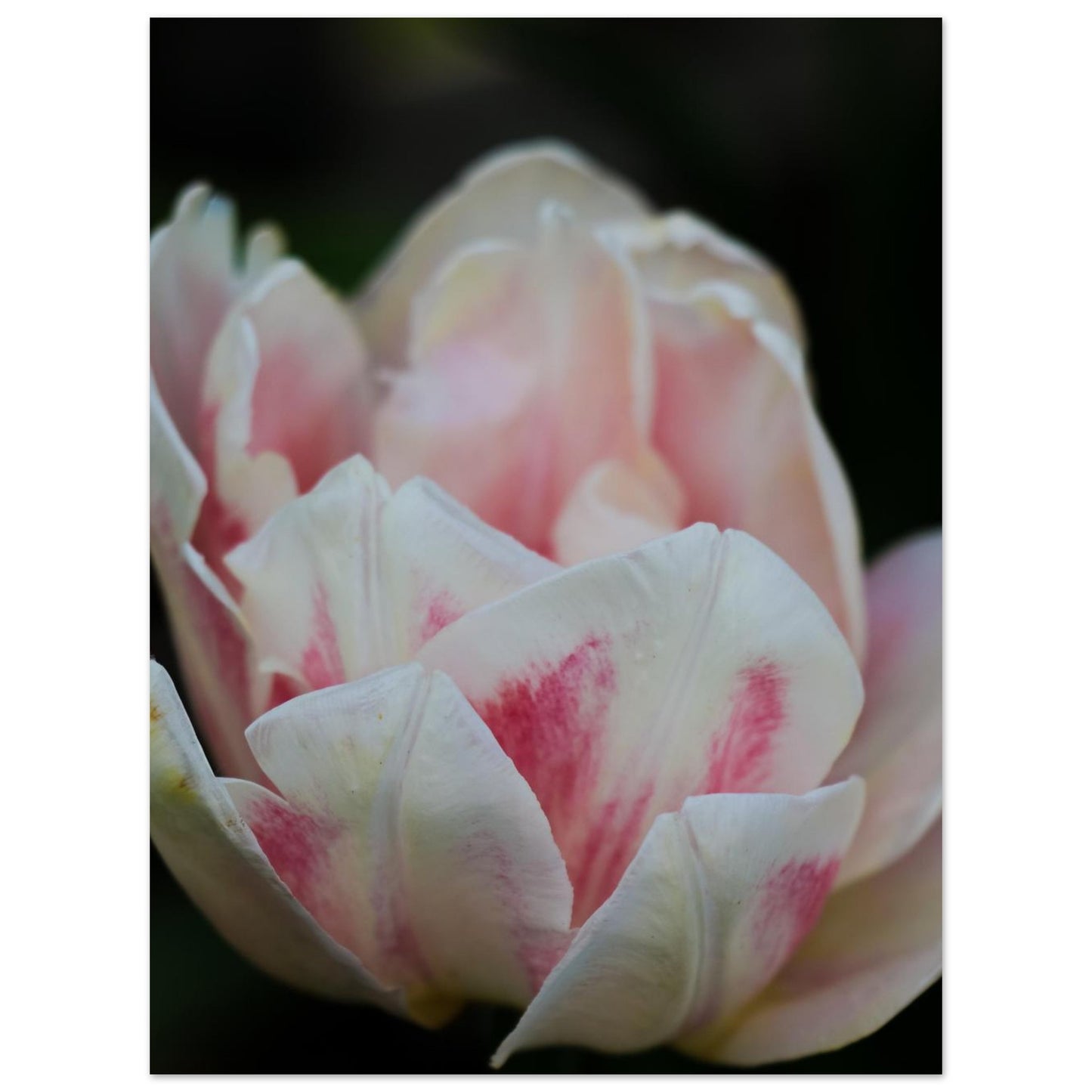 0428a6a7-cf1c-4dcb-9466-6589502c3227