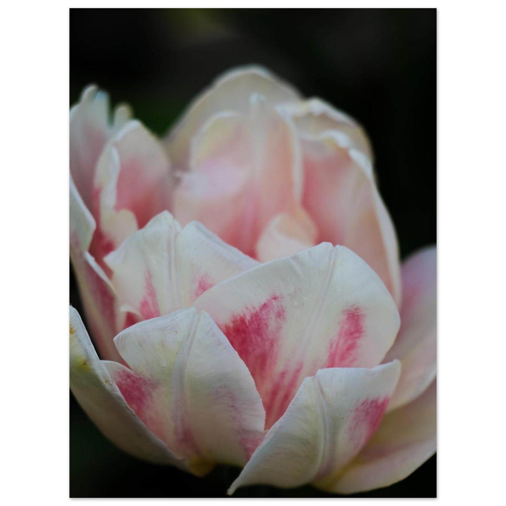 0428a6a7-cf1c-4dcb-9466-6589502c3227