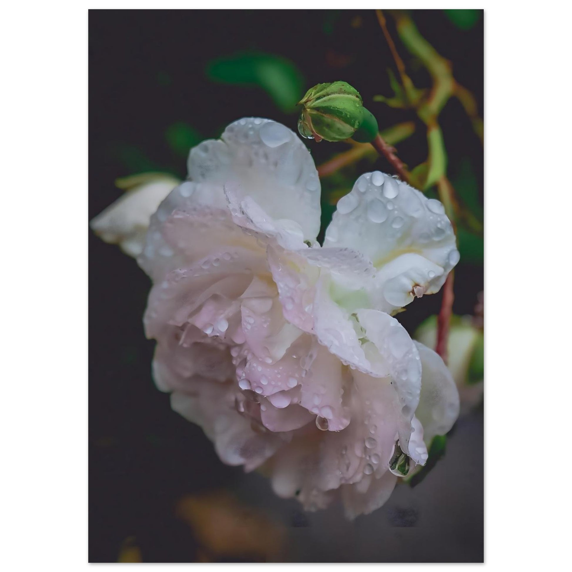 0667f43f-778f-4755-84e8-6fc2c8681ae9