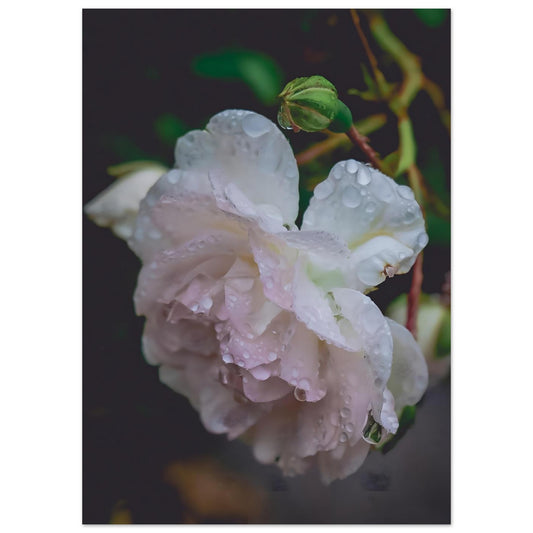 0667f43f-778f-4755-84e8-6fc2c8681ae9