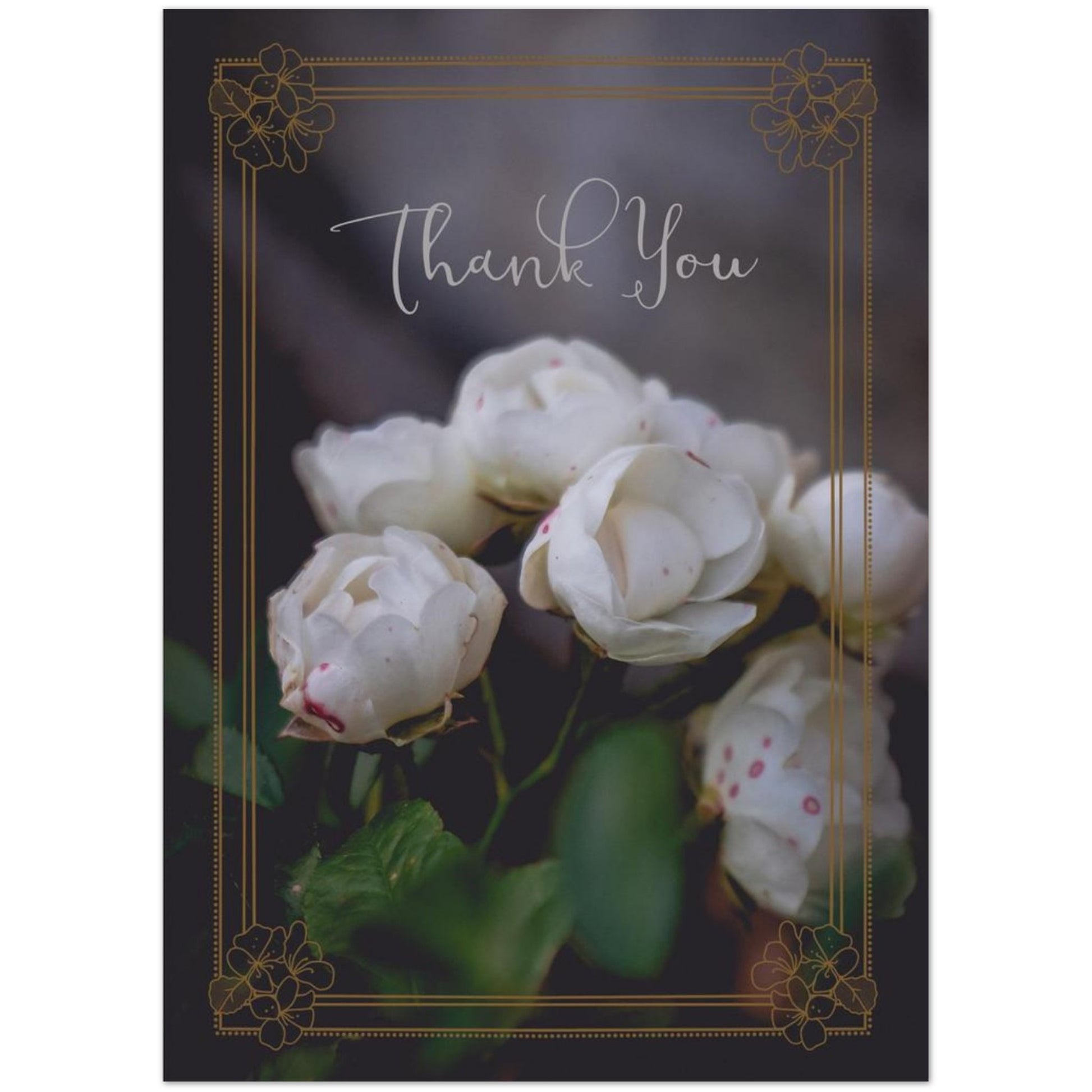 07ec7186-949e-4a55-aa0a-8ce241aa720c