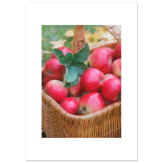 08223cc6-762f-436a-a40e-908b7b7cfdf2