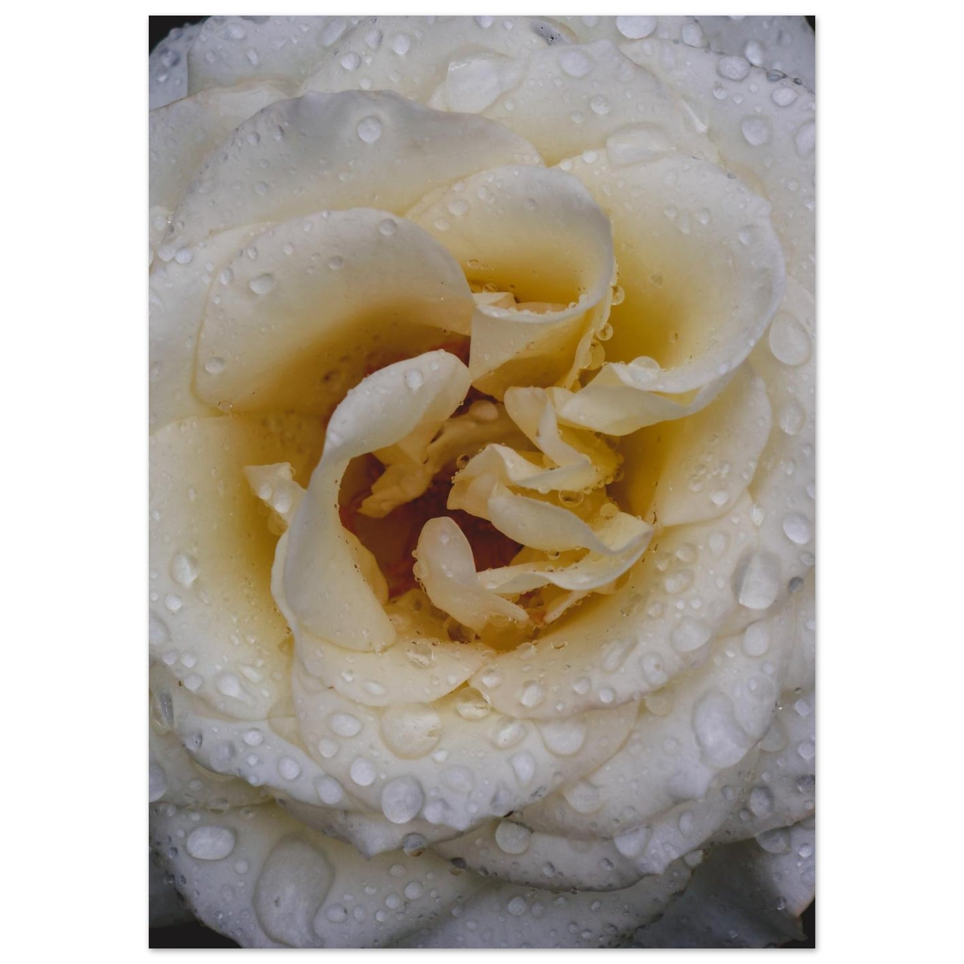 08855120-6e48-41b8-8aec-ac969a38ab69