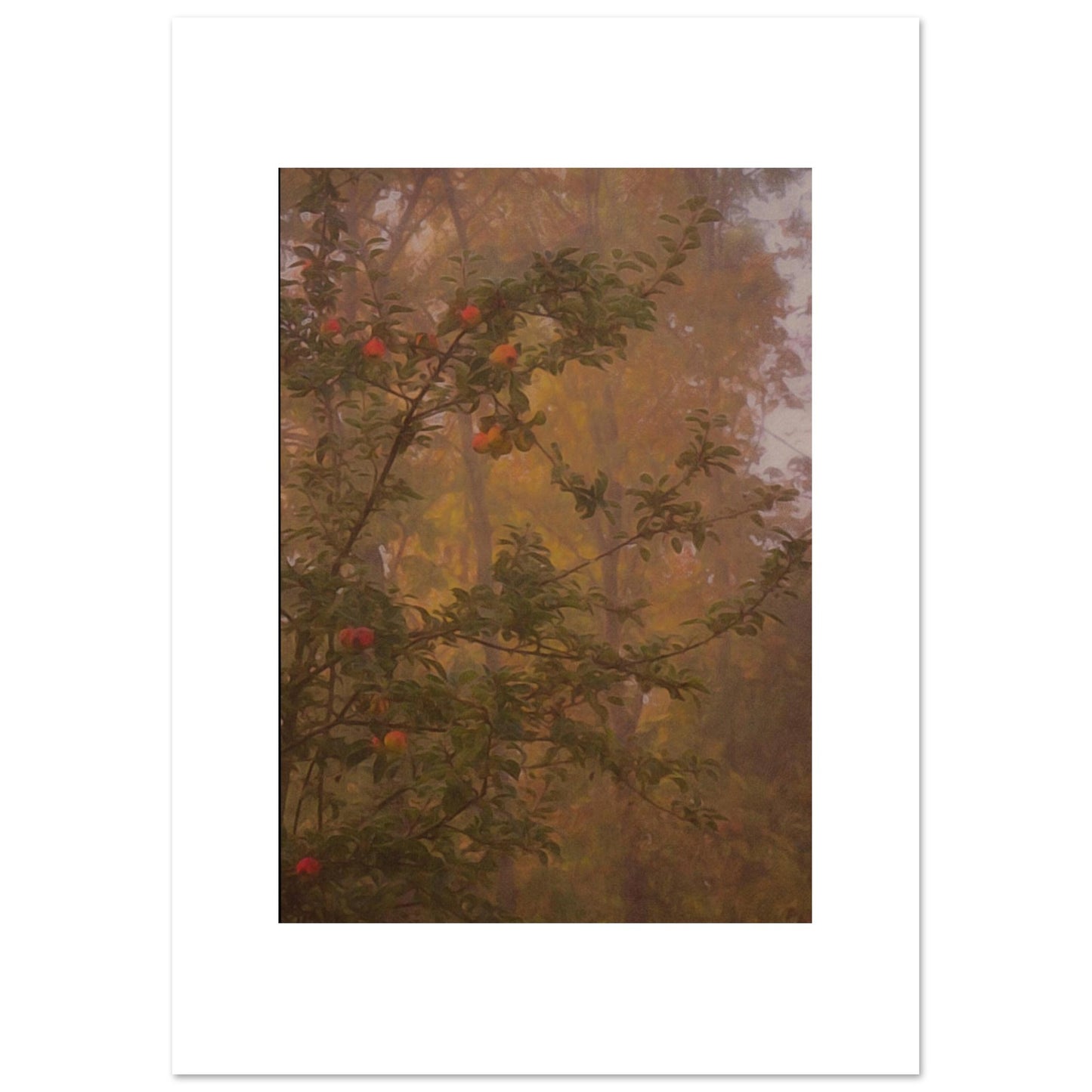 0a1e135f-225f-494d-93f0-1b679bd119a1