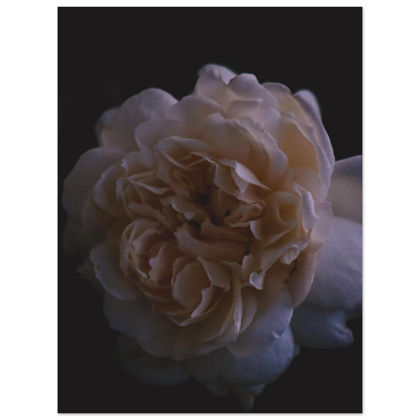 0b165c28-d589-463b-91ce-0f5846676d6e