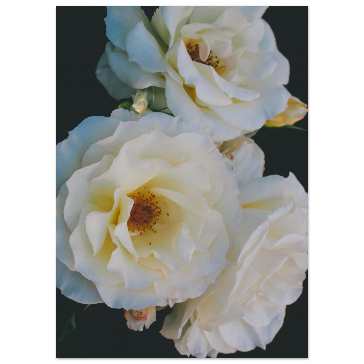 0cdf7c08-44b8-401e-82ed-732f747f254a