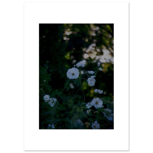 0d922647-3b16-4bb3-89d9-918e838ef102