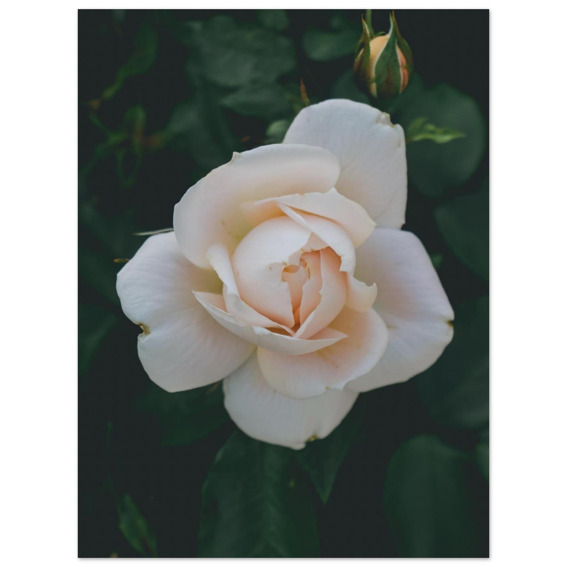 0e11a623-cae0-467a-b69a-d46310eabbc0