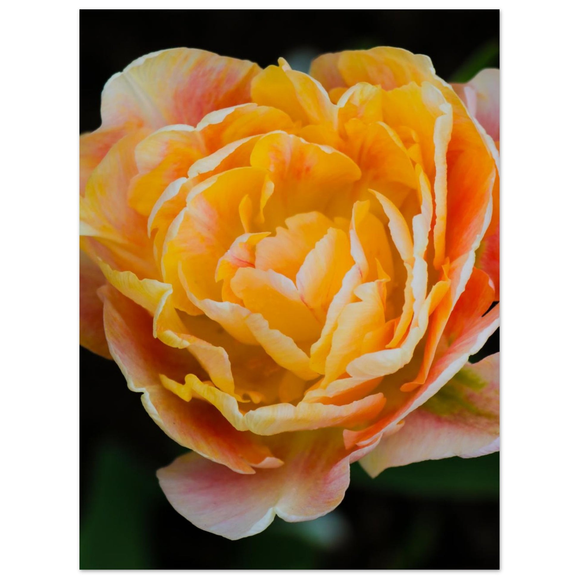 10163b26-9f3a-44a4-b790-d55d1de3aa85