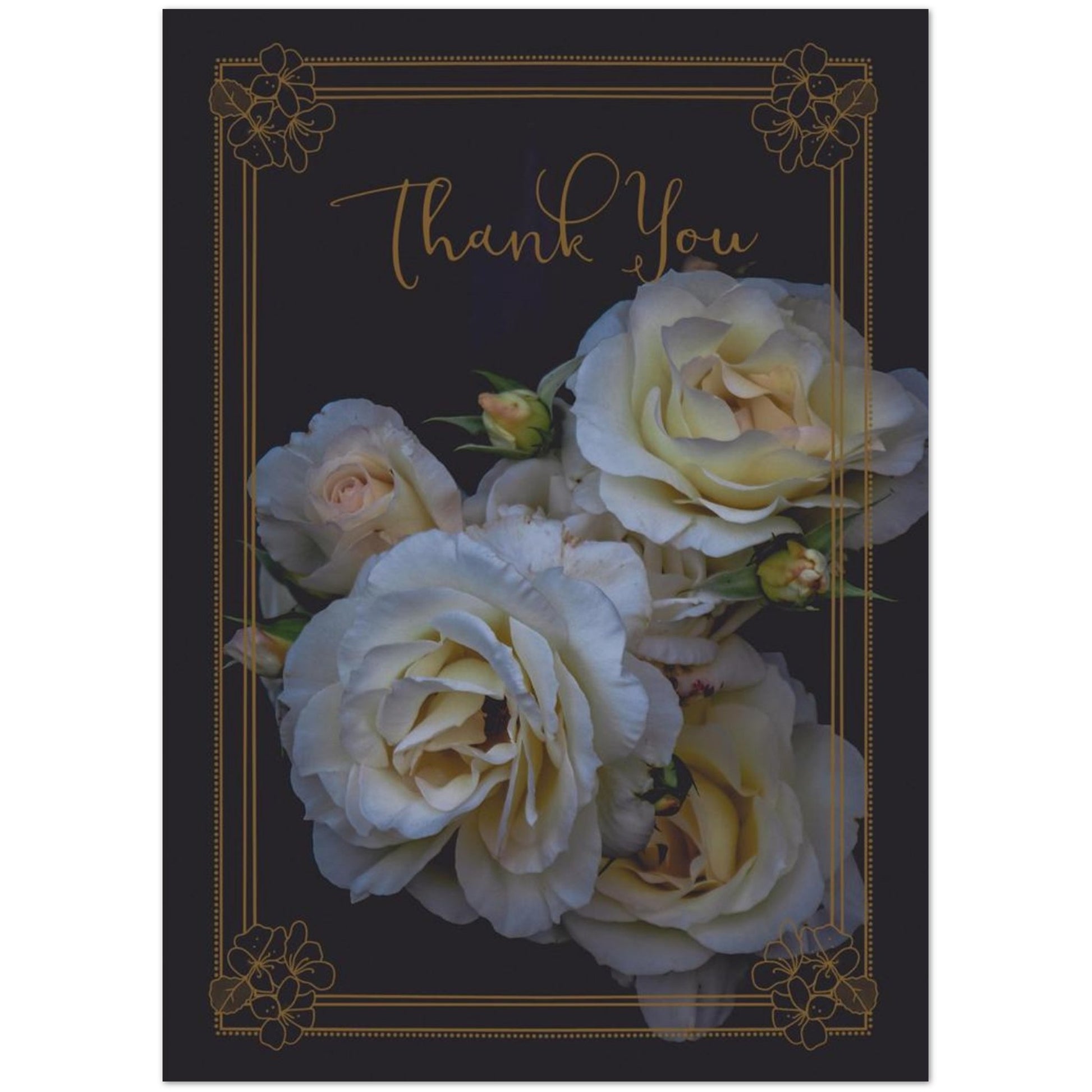 1127c726-bfac-40c7-a20d-98f481701d51