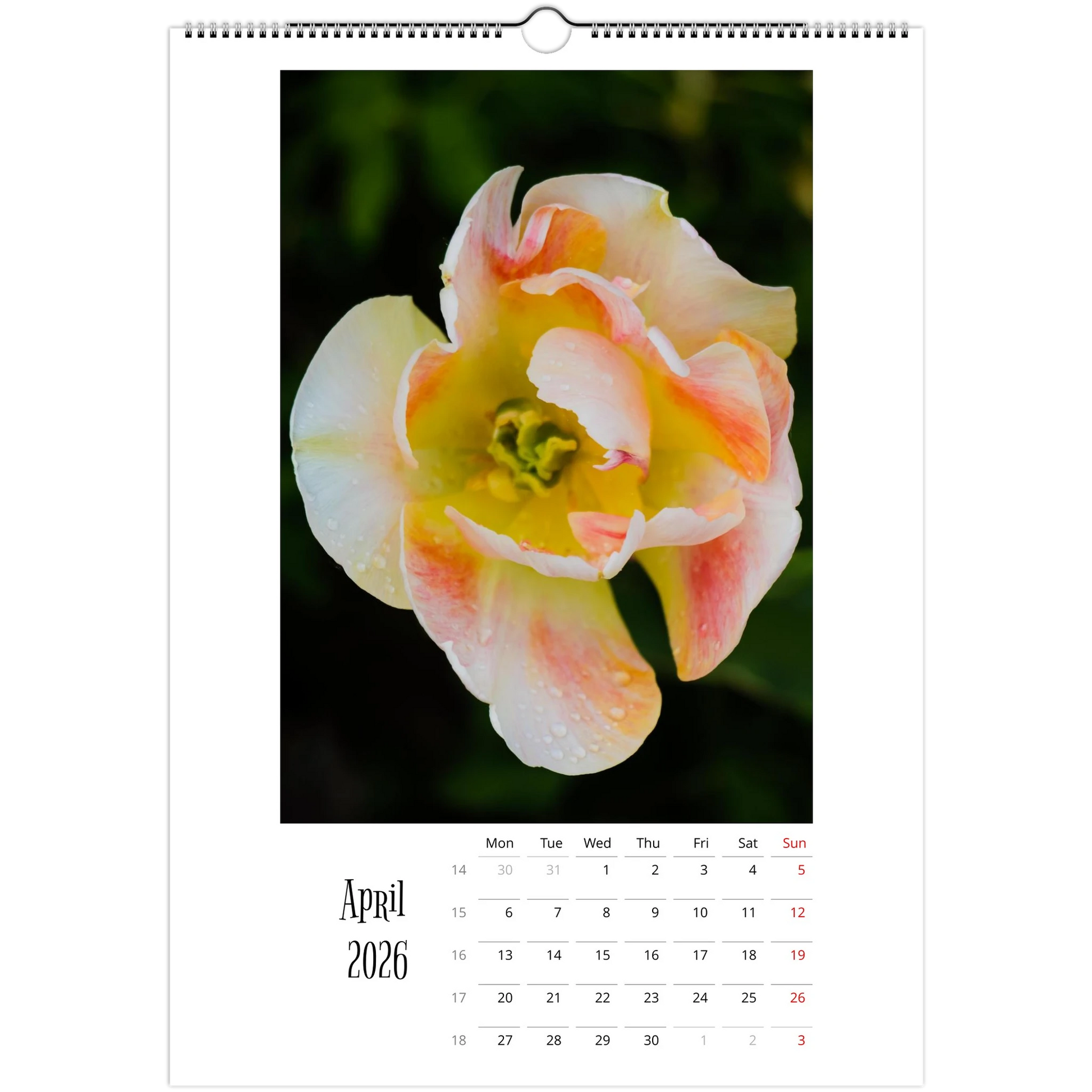 12376cf1-8954-4759-ba53-15cc1e5529d9