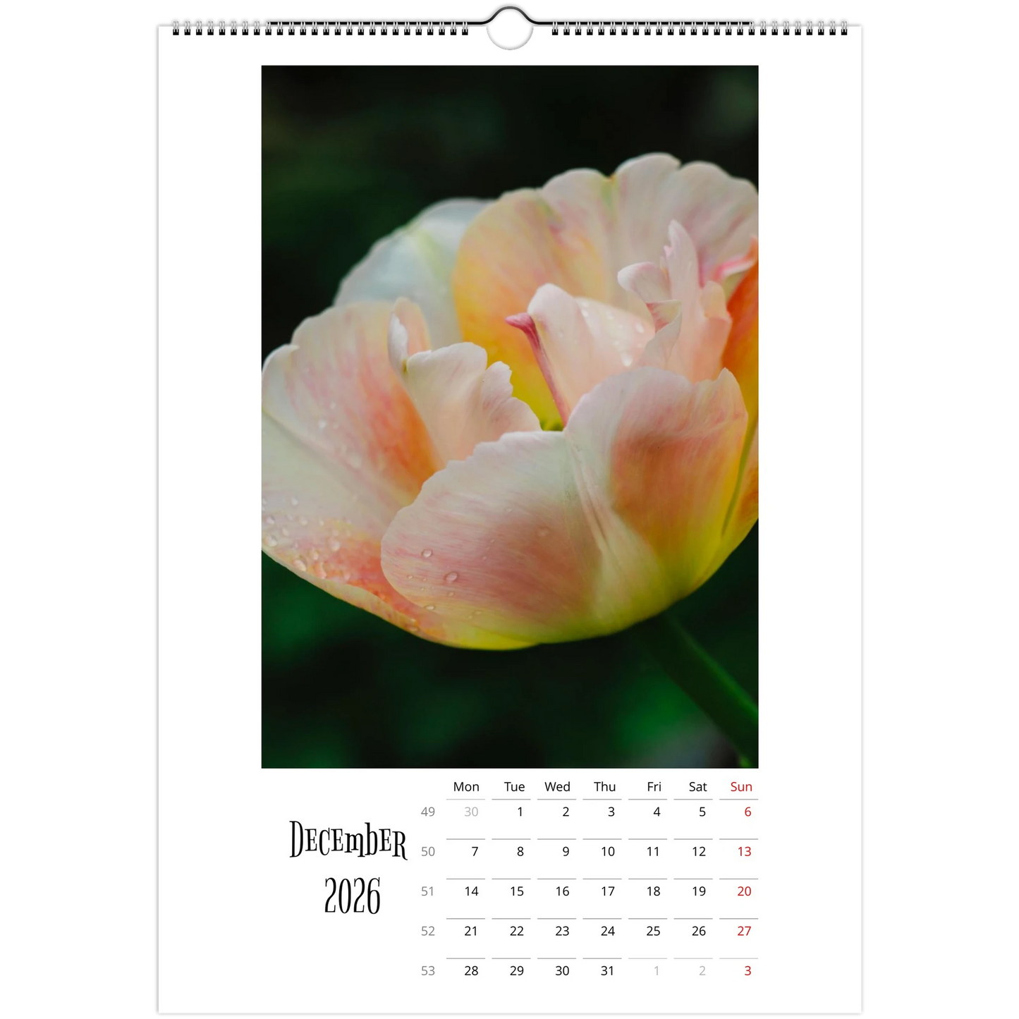 12ad3236-74b1-4f2b-af75-a446c57c303a