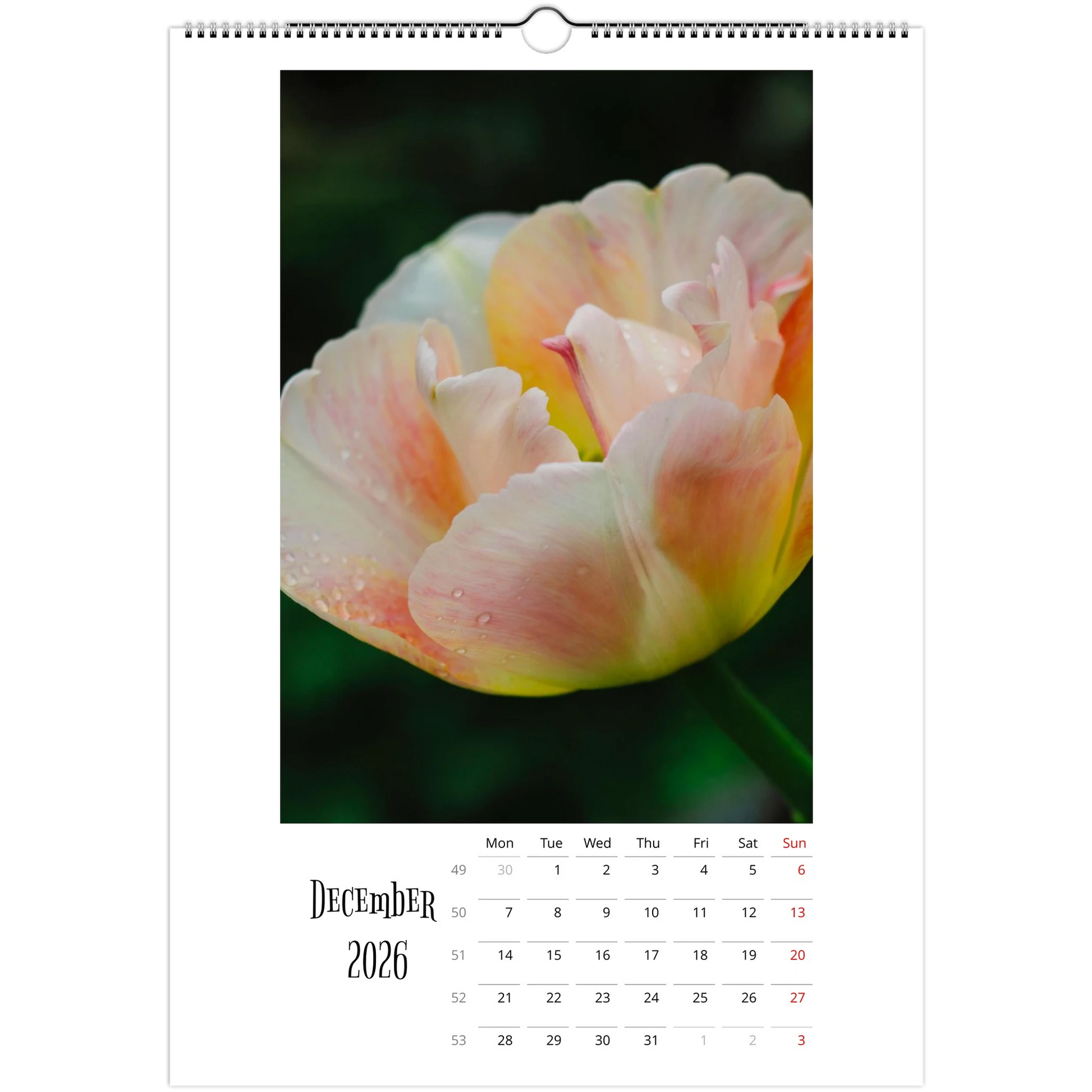 12ad3236-74b1-4f2b-af75-a446c57c303a