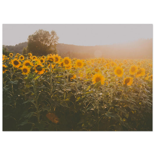 13f66e4a-5a1d-4440-8d6b-bb0b58f80bf7