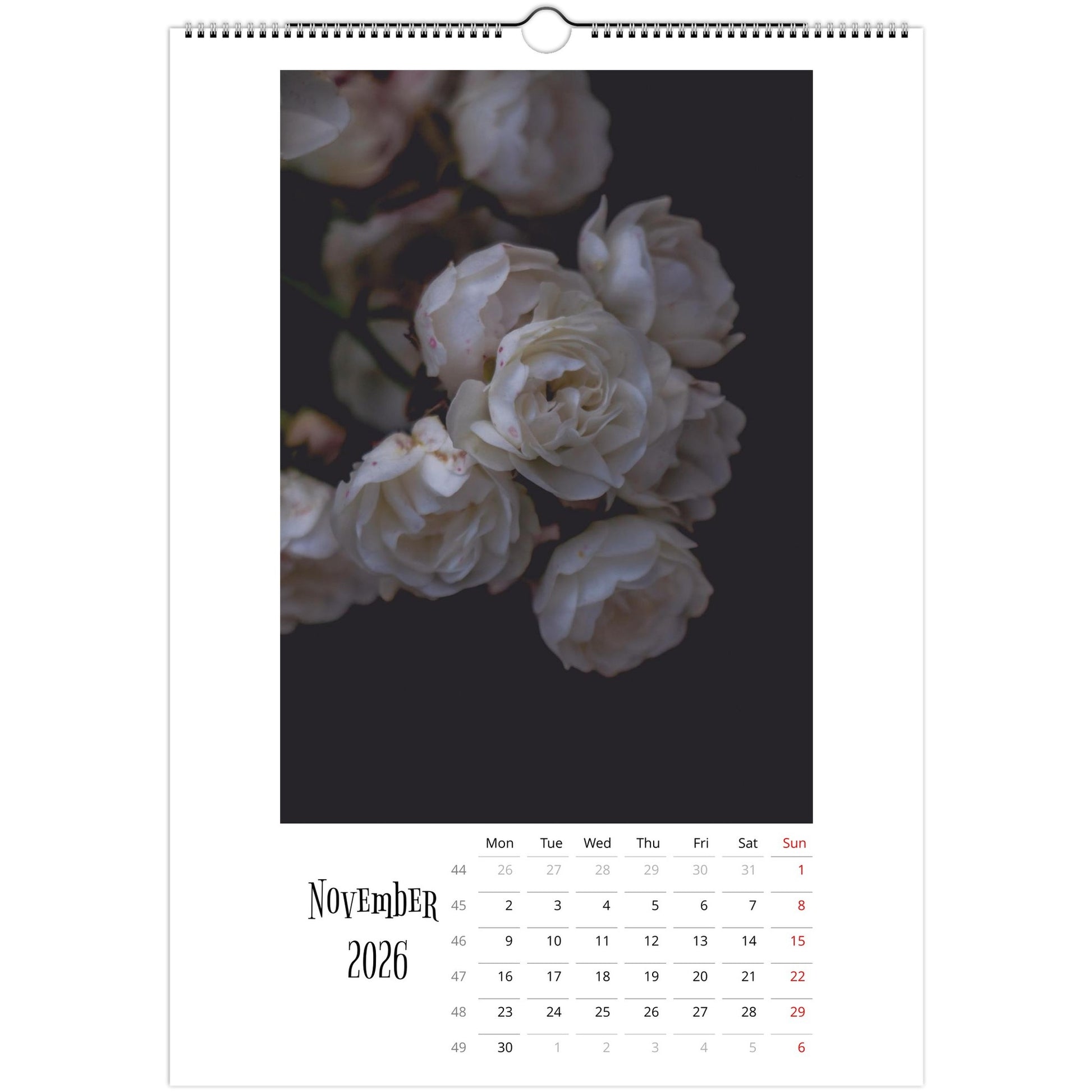 17aa32bd-85f7-4aa4-80e8-b2352738e755