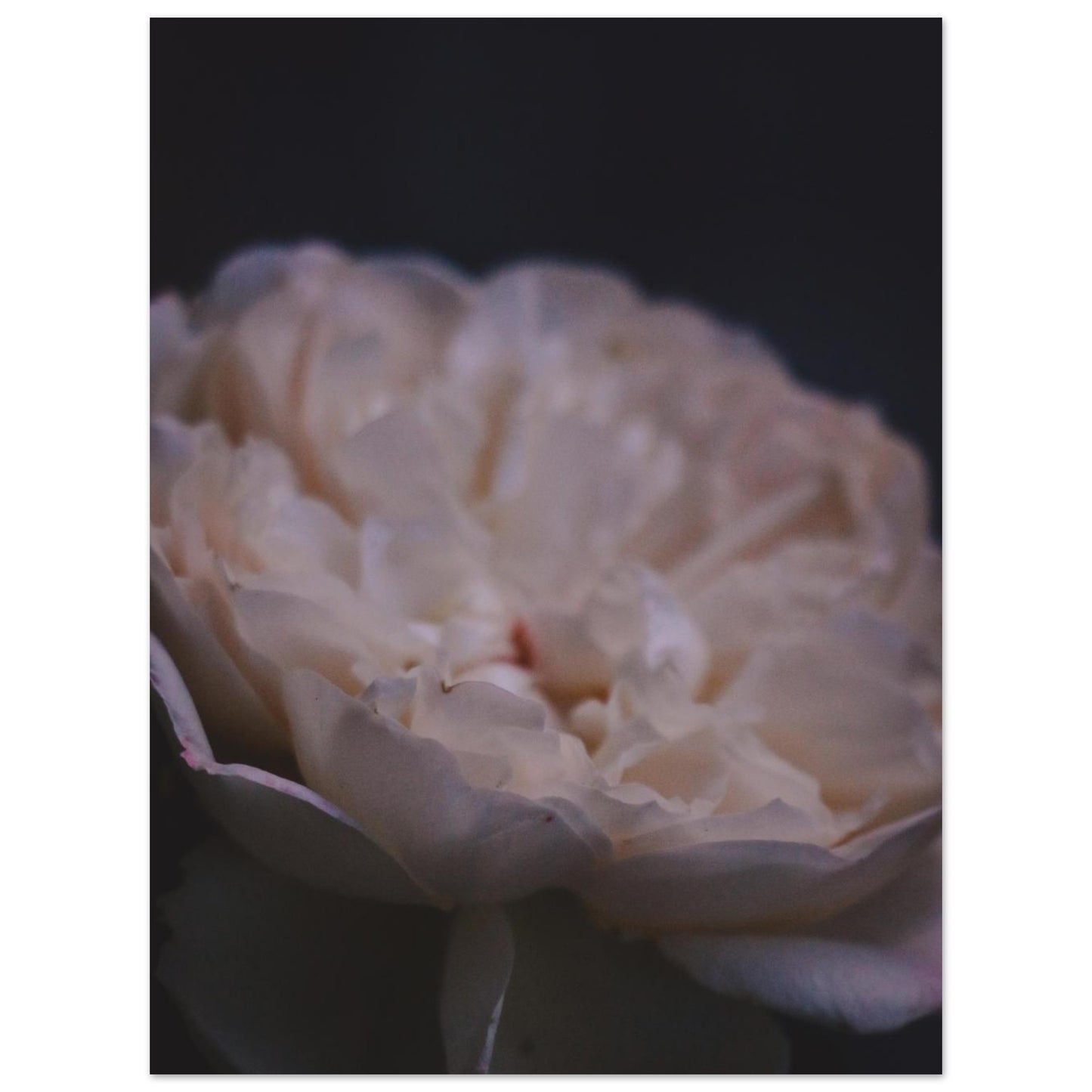 192d3347-8d61-452d-b2c1-00829767ad82