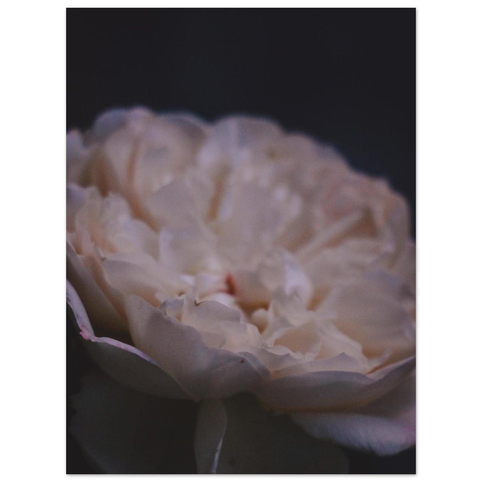 192d3347-8d61-452d-b2c1-00829767ad82