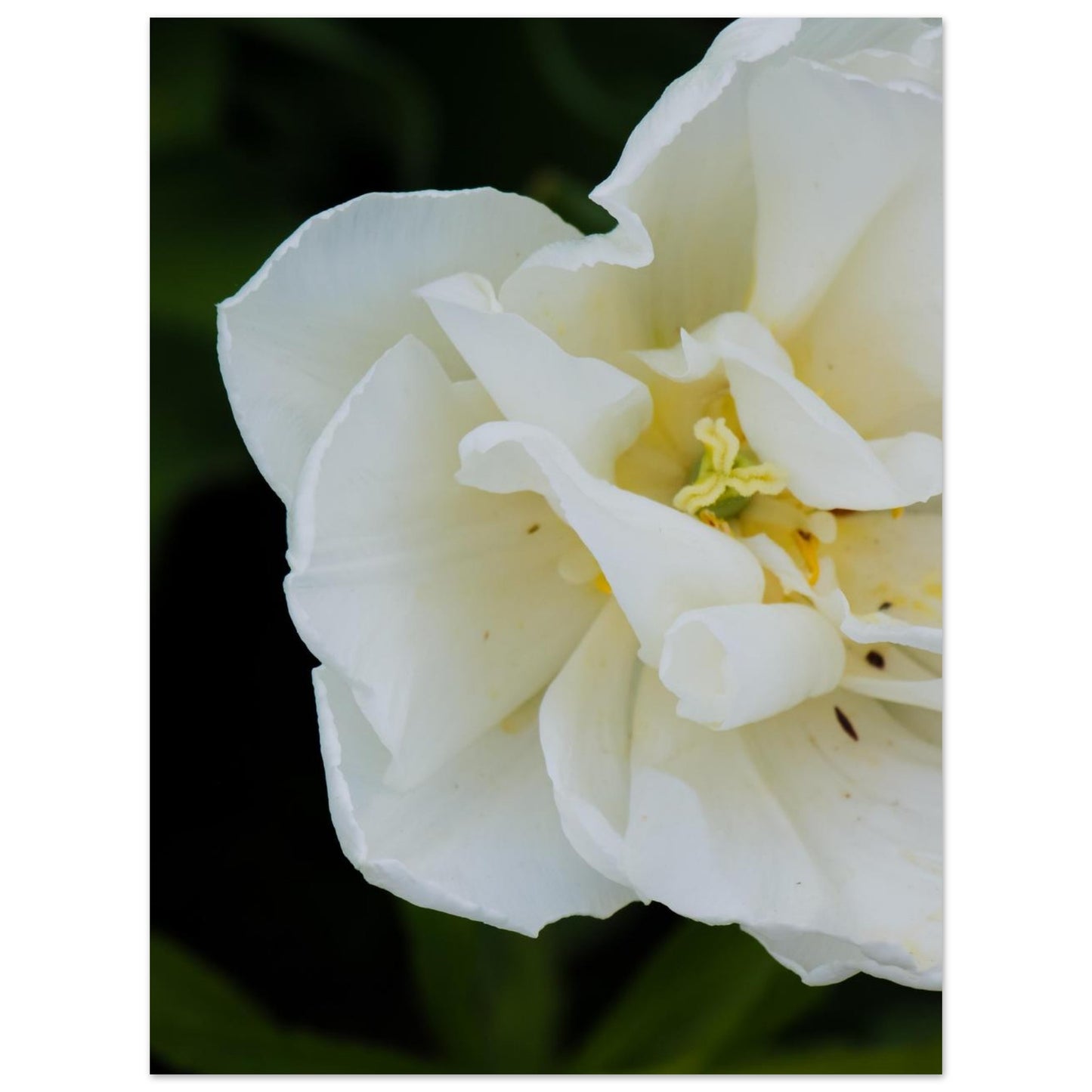 198dca95-ccdc-4482-a209-6b823a6a2367