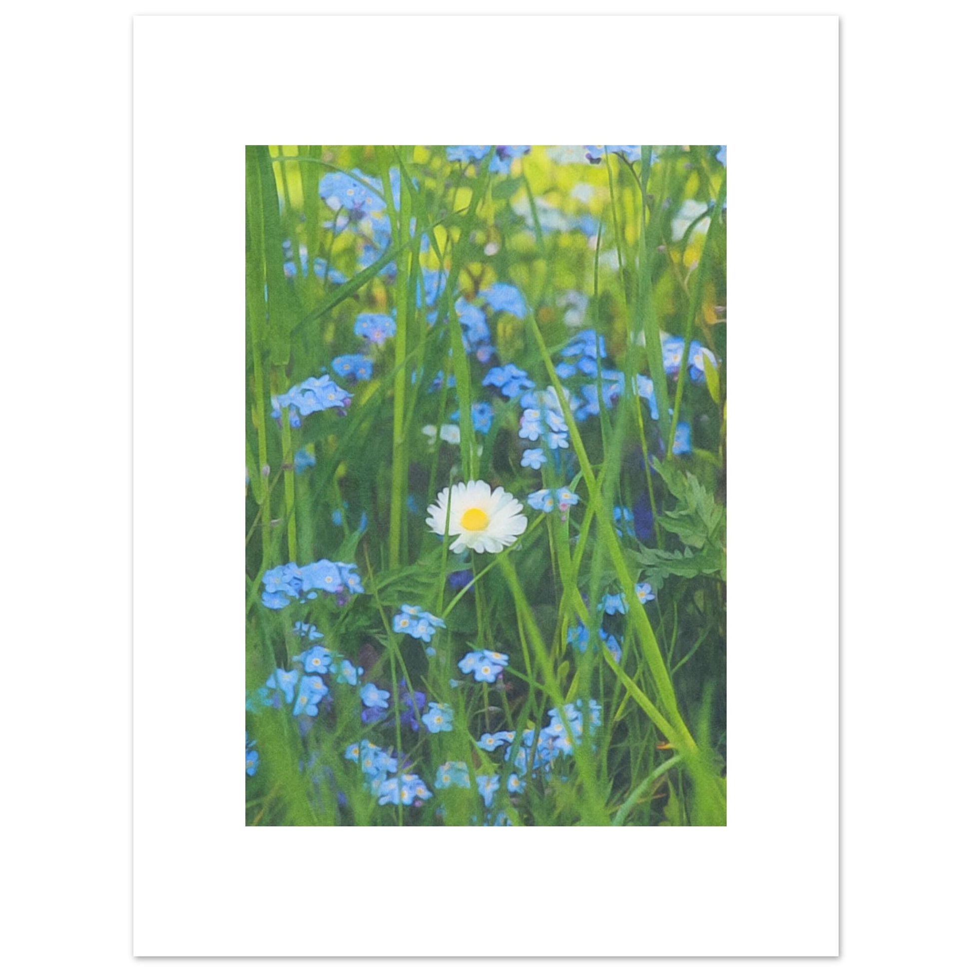 19cf4c84-08ed-48f3-b0ea-7082bbbcf5a3