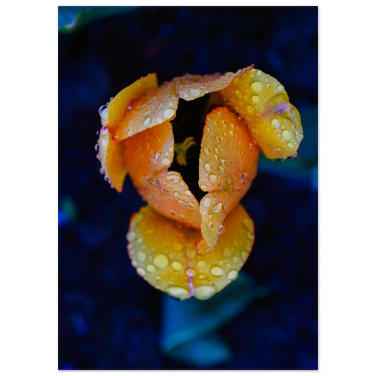 1d4b06d8-0862-4713-b964-55057b95b8e1