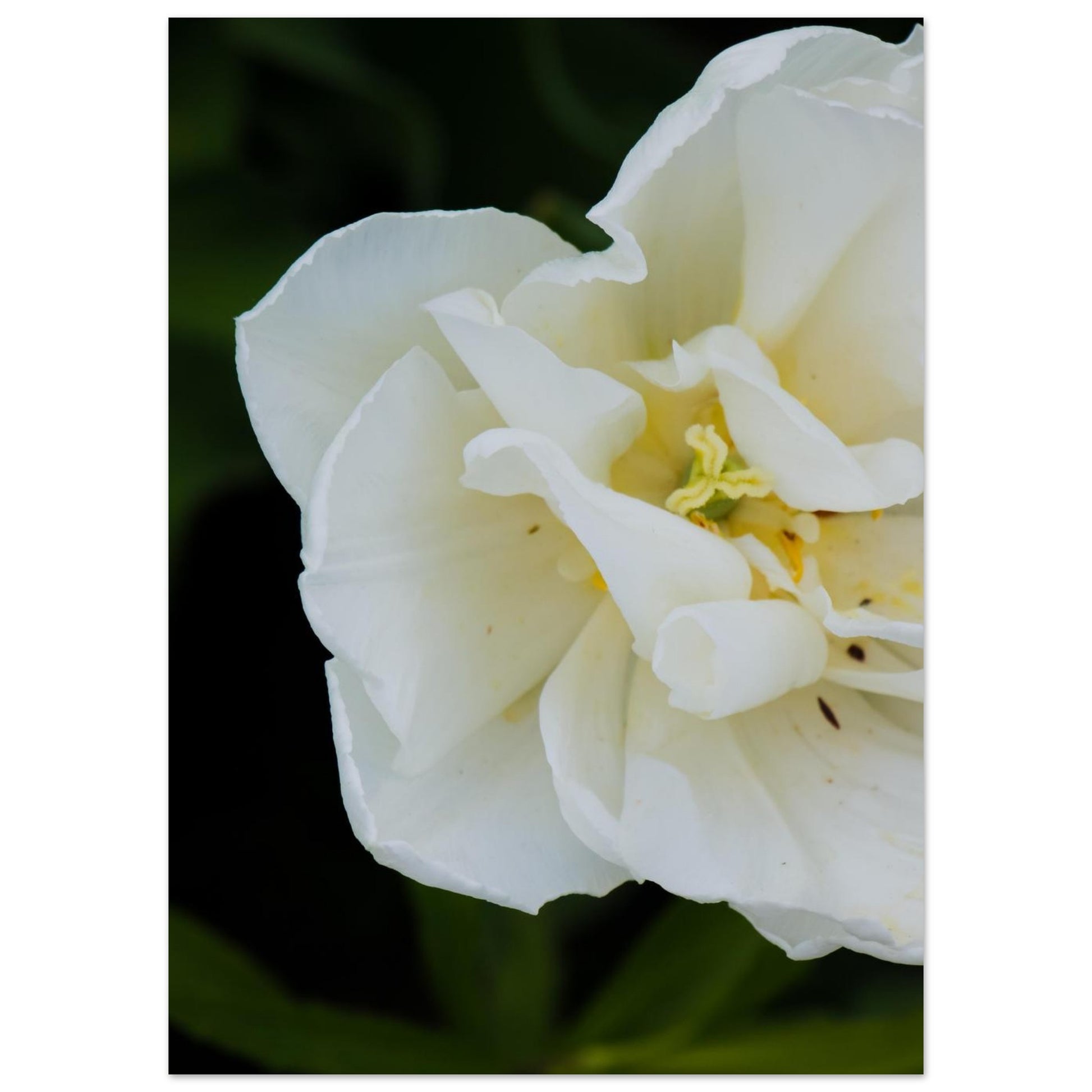 1e610d3a-e8eb-4a1f-a755-1565b96844c2