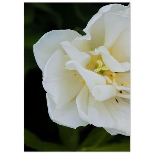 1e610d3a-e8eb-4a1f-a755-1565b96844c2