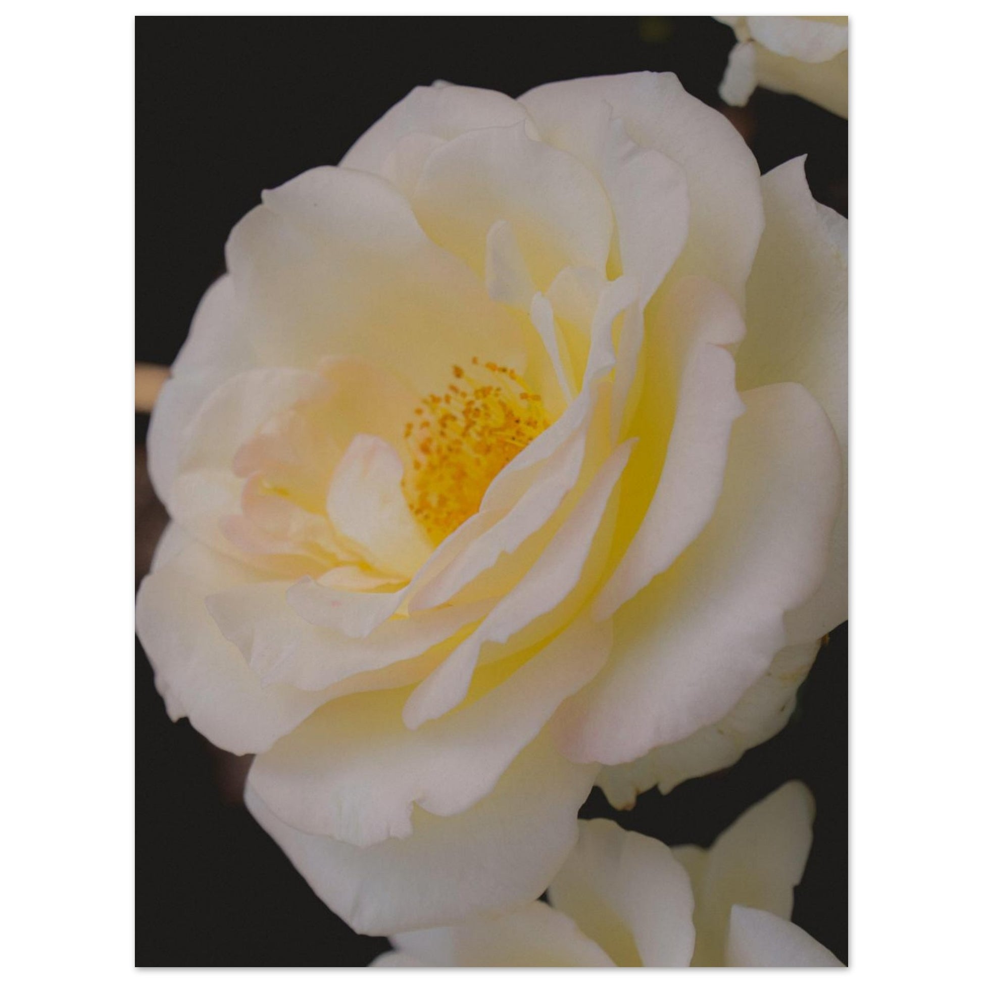 205c289b-fea5-416f-a40c-fb0f725c0aa1