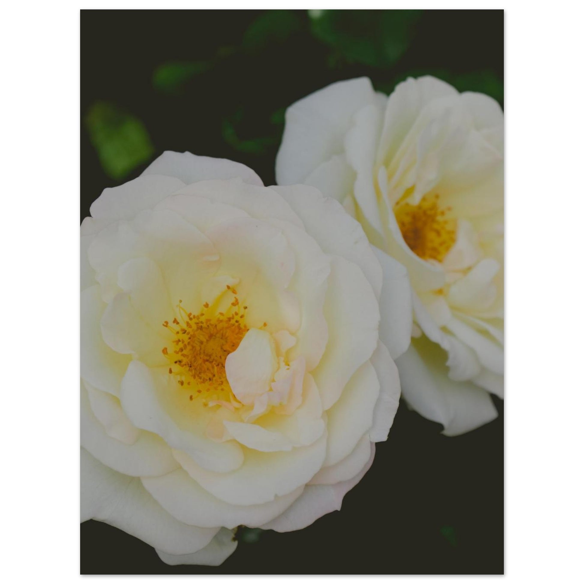 21657b6d-3d56-42f2-a9c6-afc58f4efb35